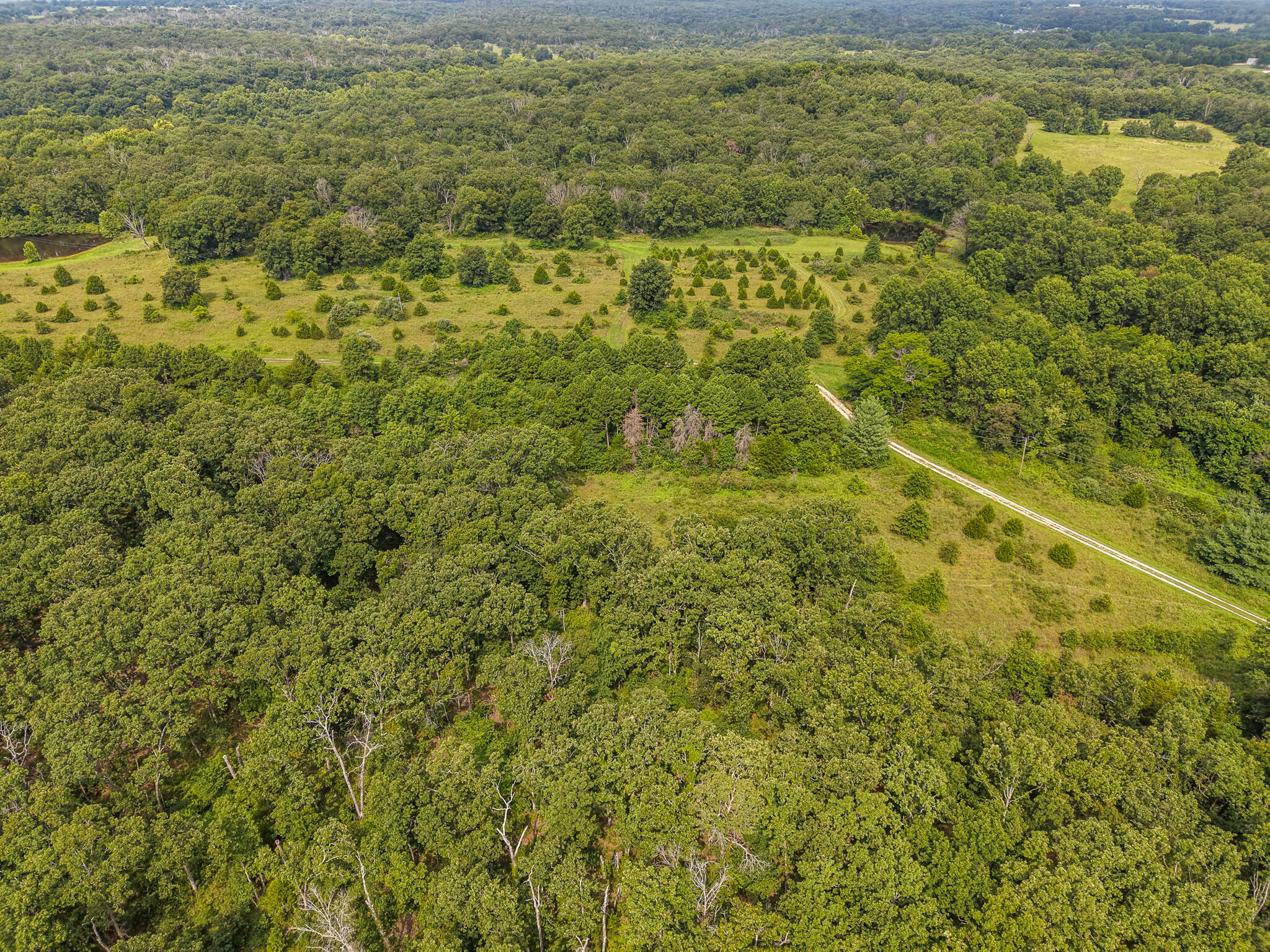 main property photo 64