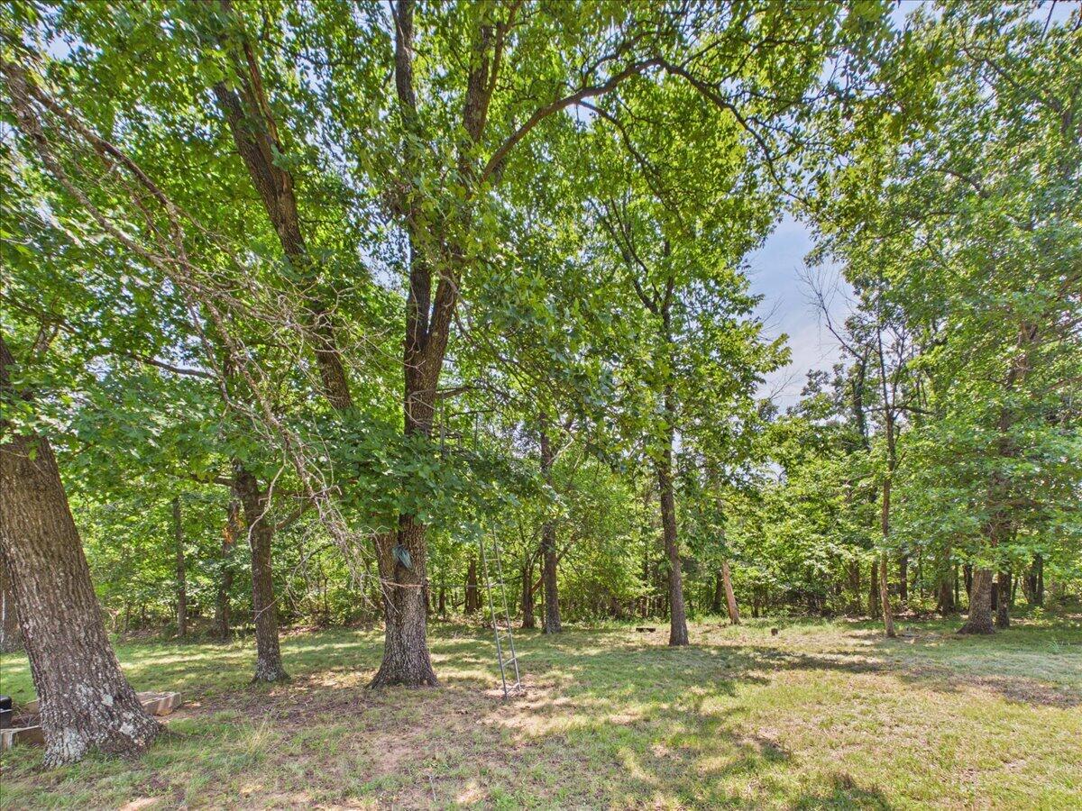 main property photo 54