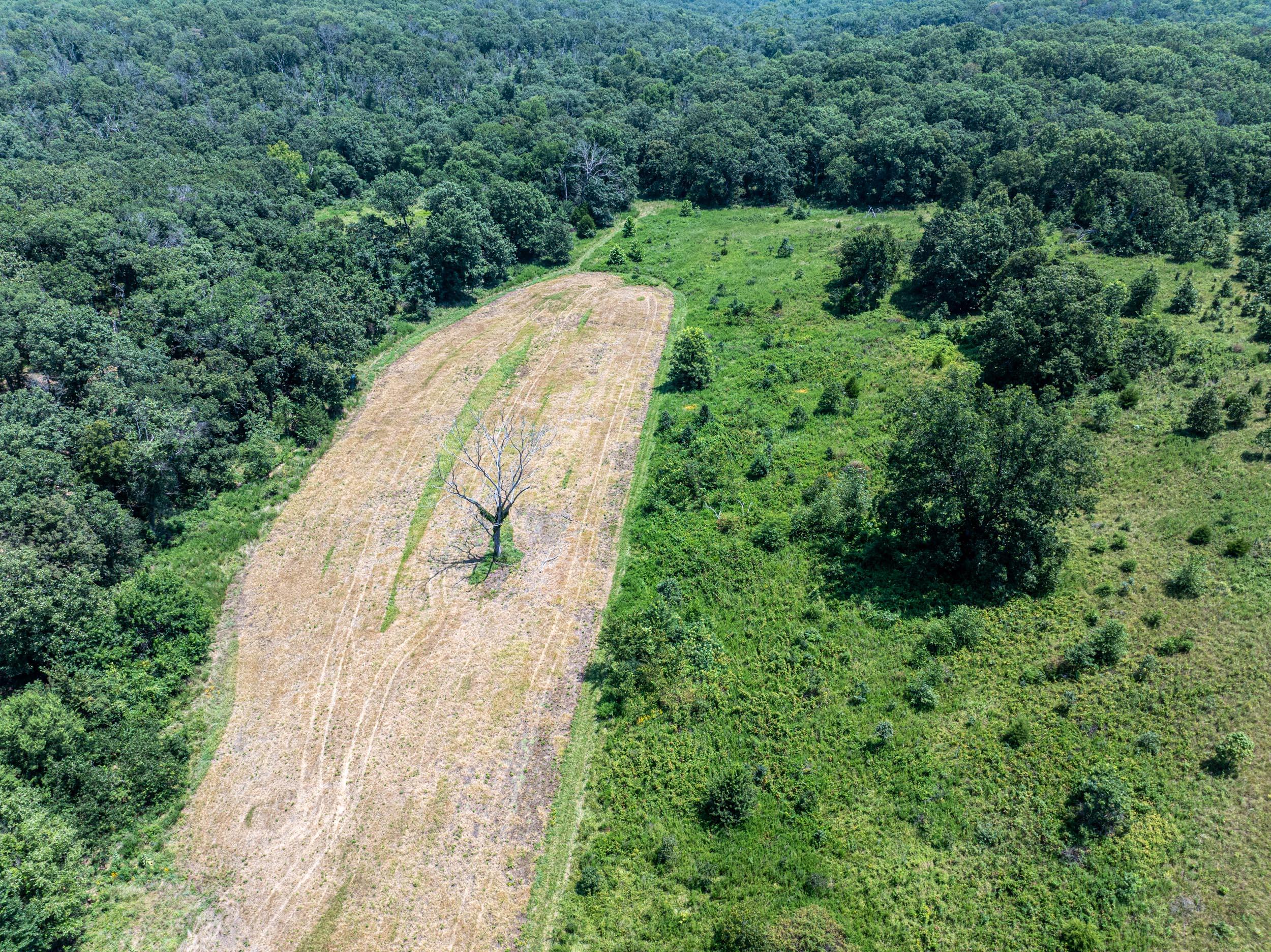main property photo 65