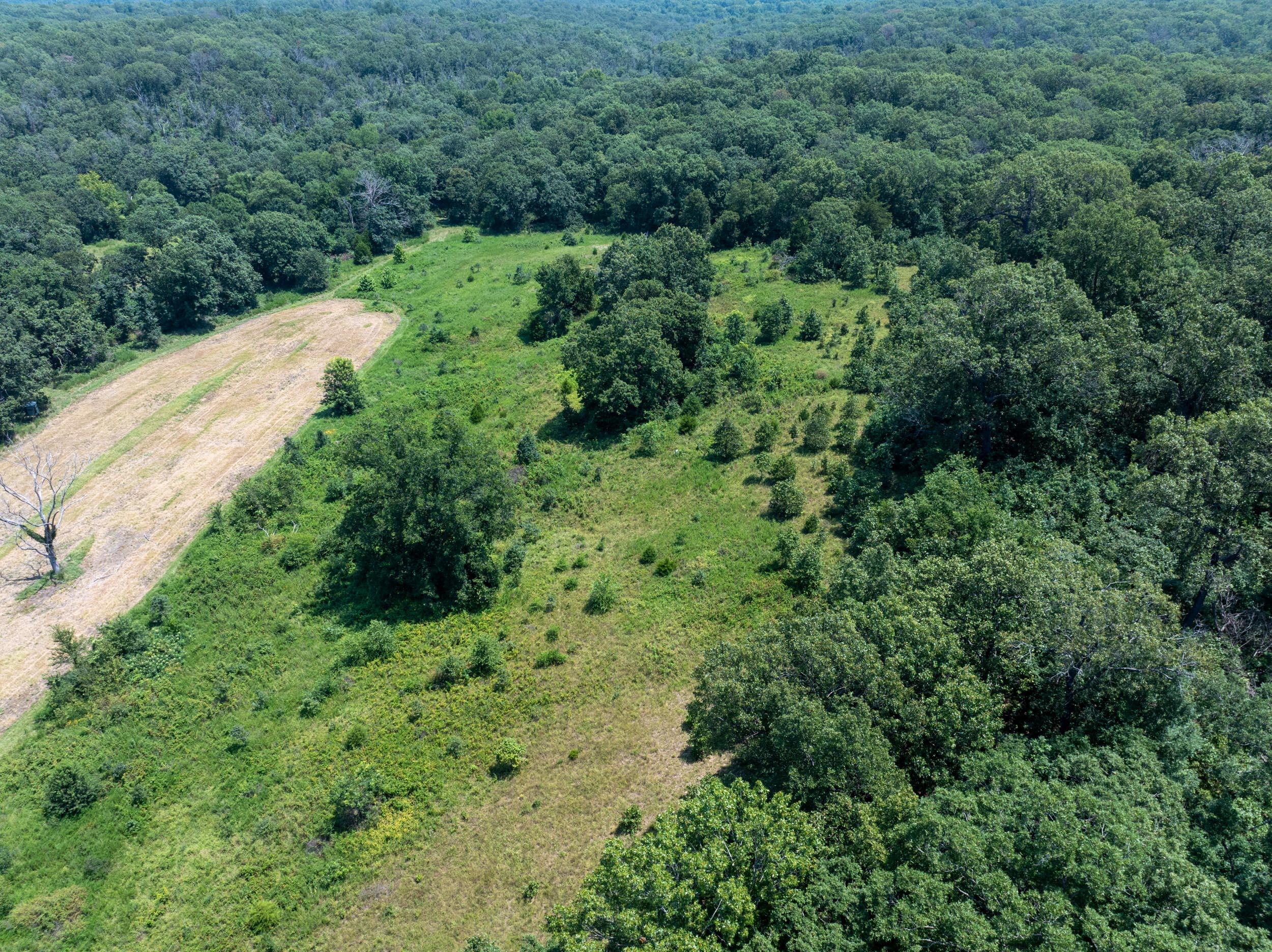 main property photo 68