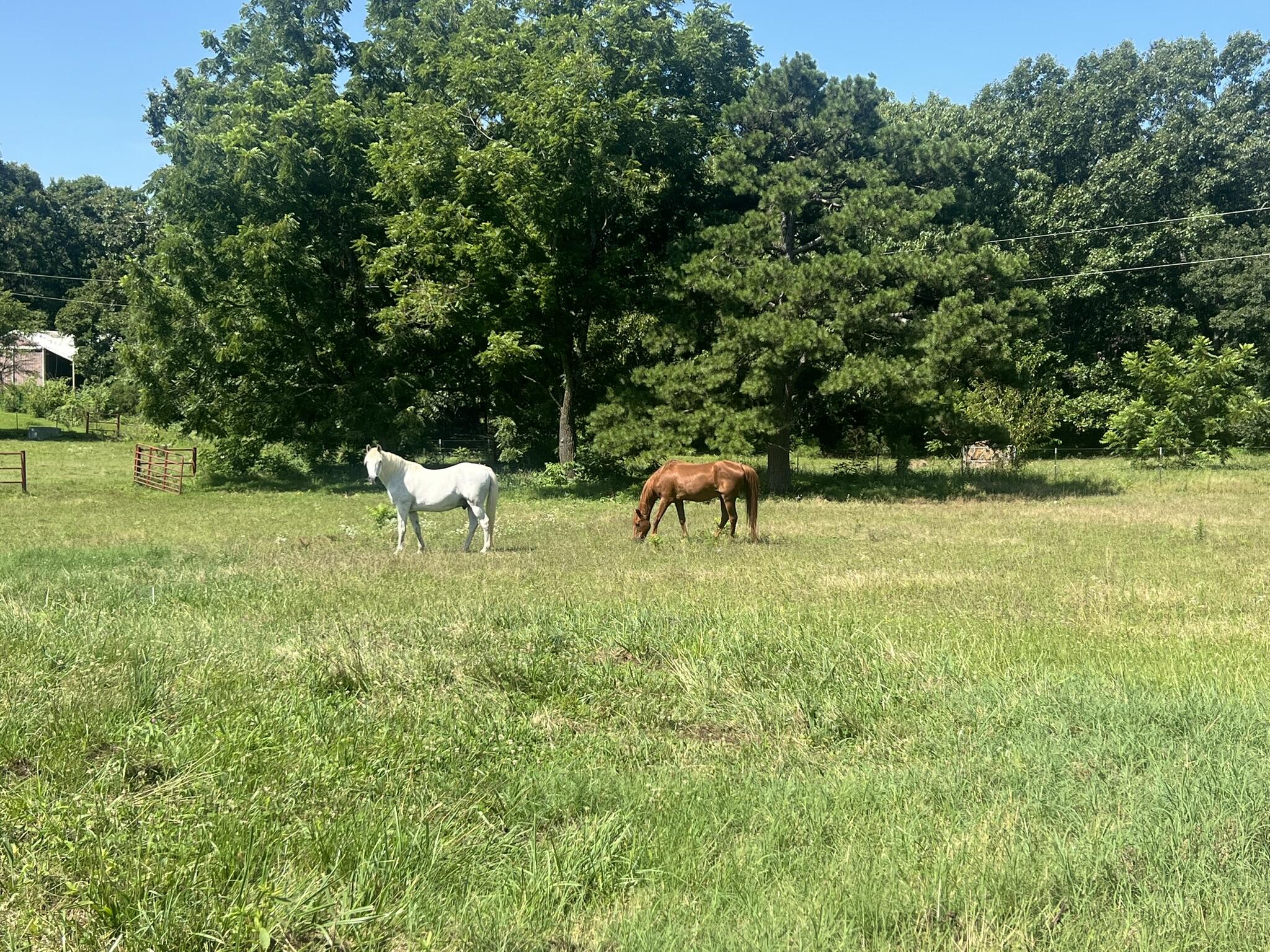 main property photo 7