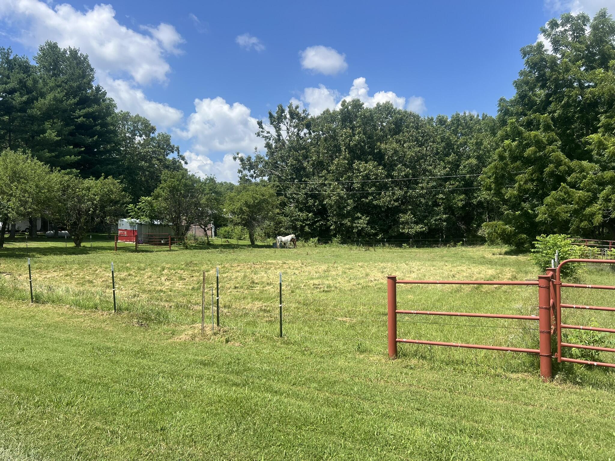 main property photo 76