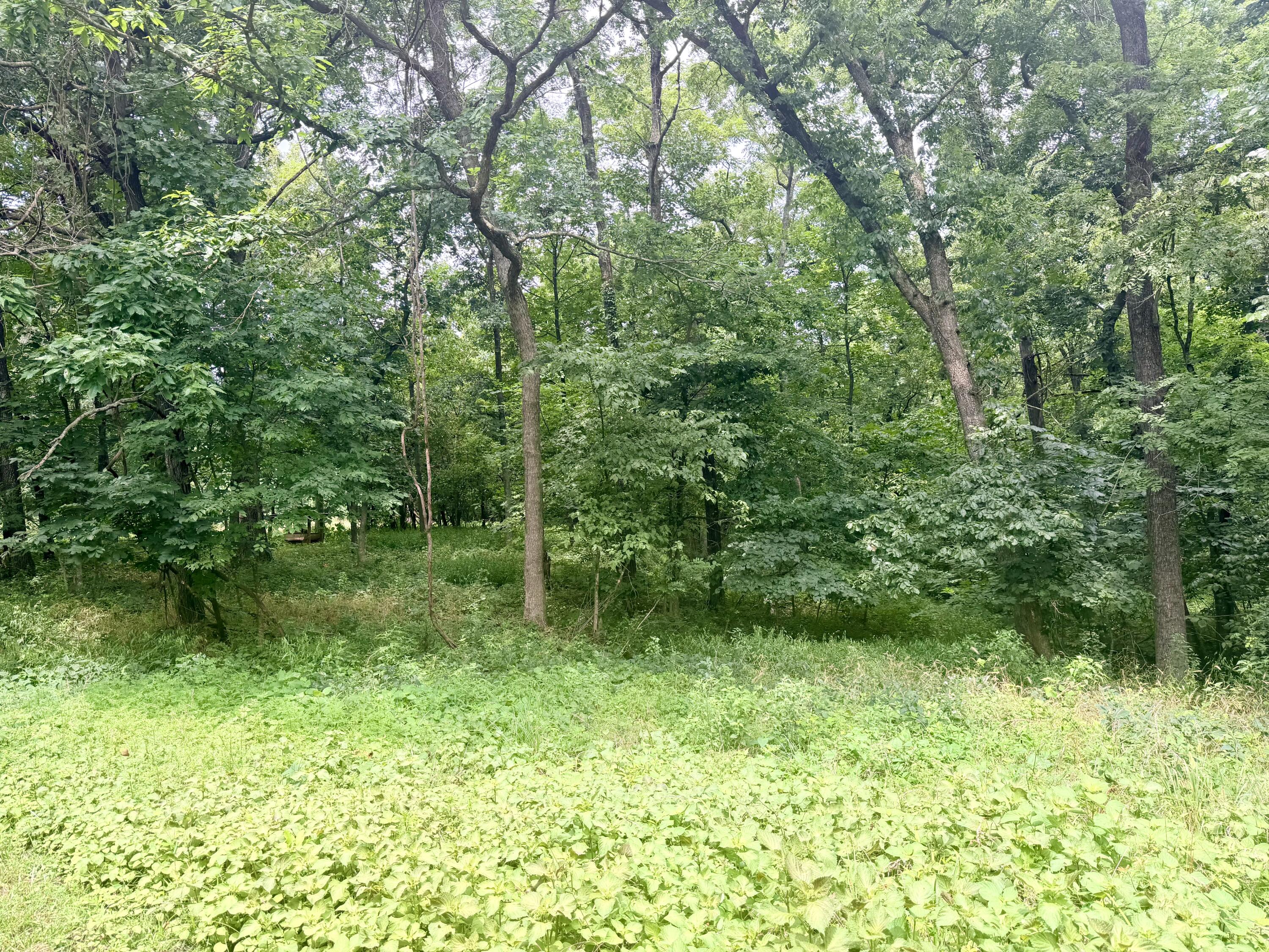main property photo 65