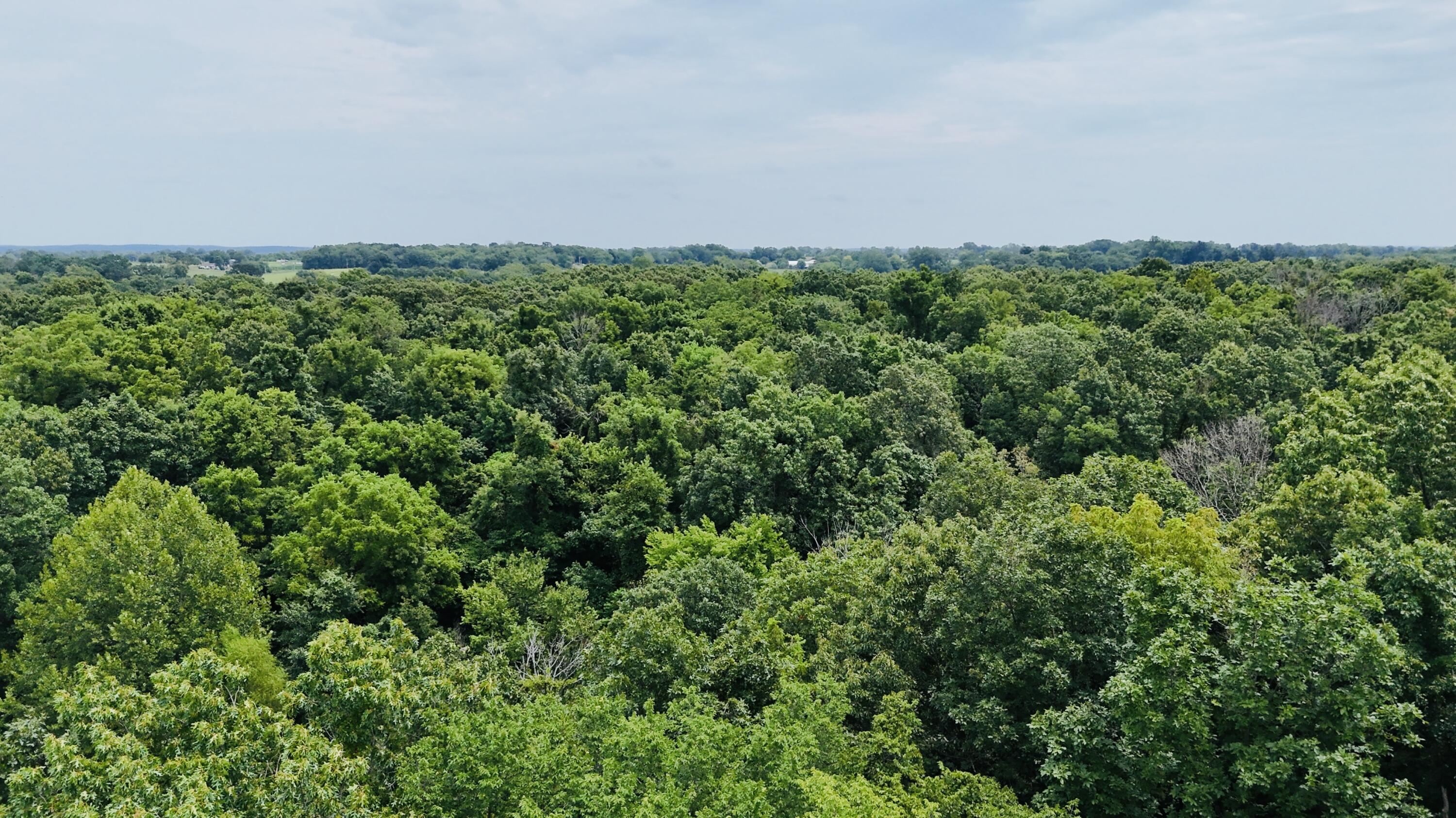 main property photo 64