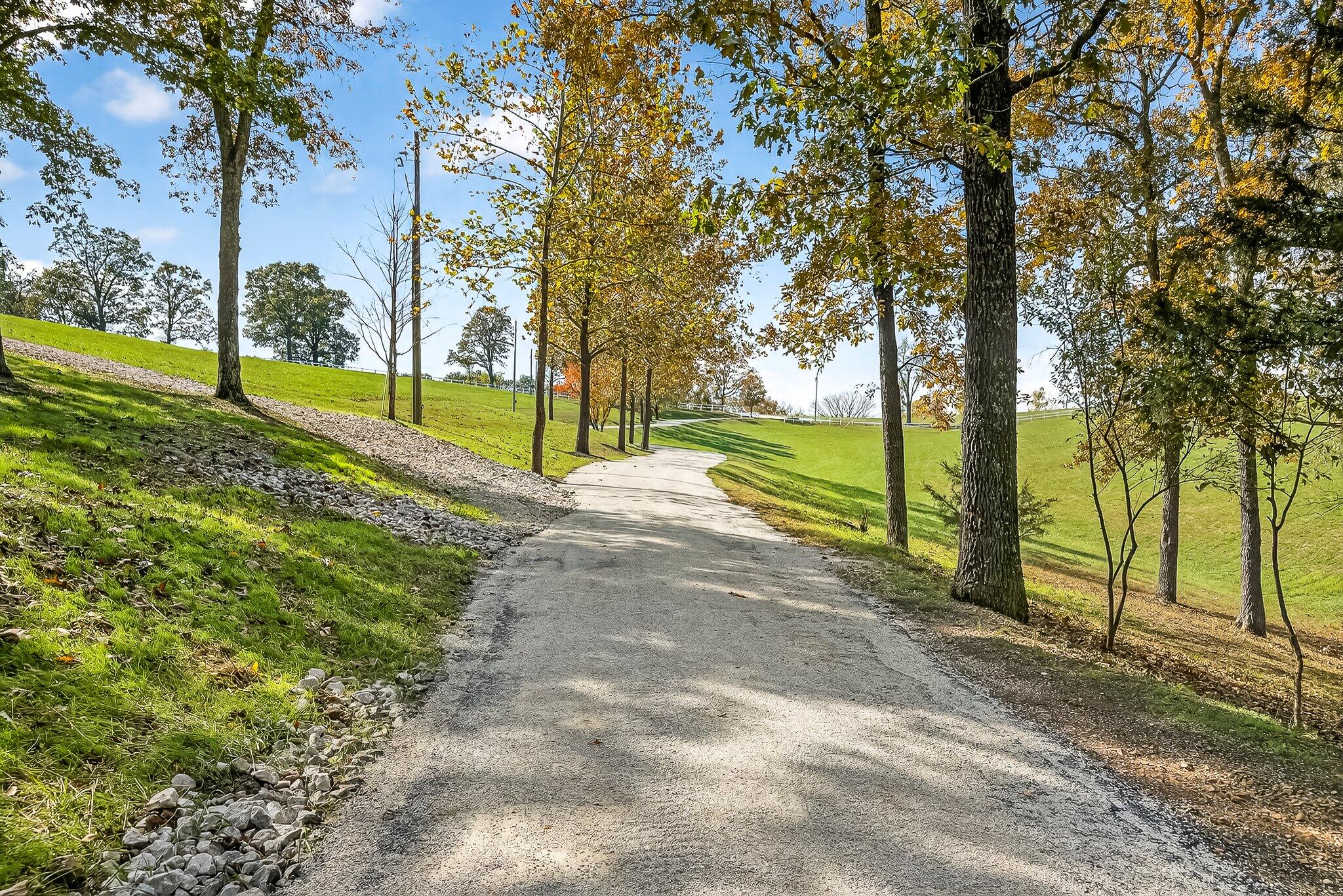 main property photo 22