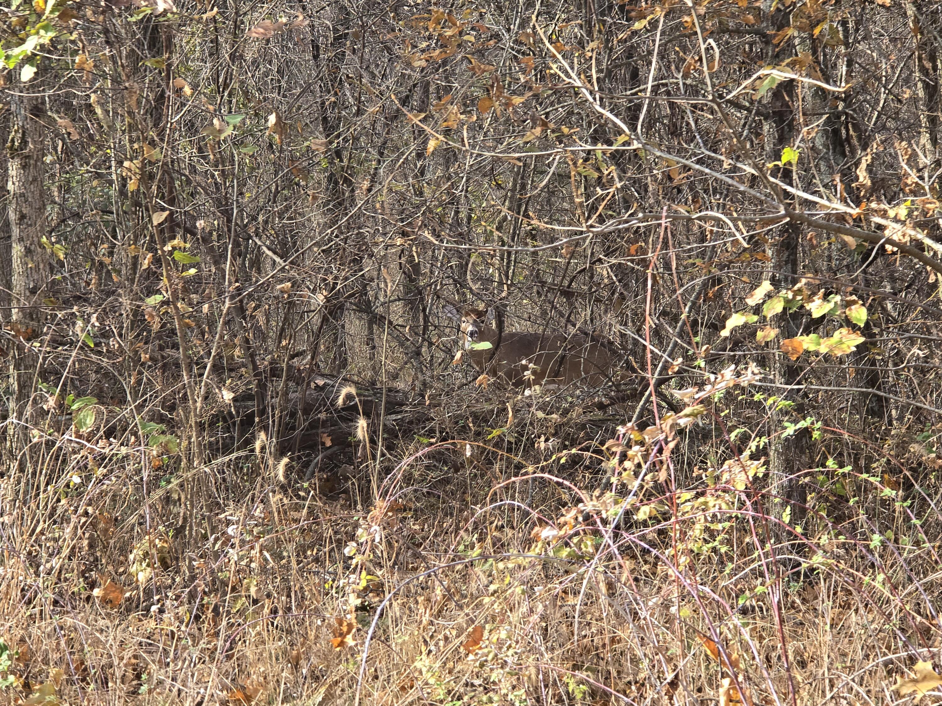 main property photo 47