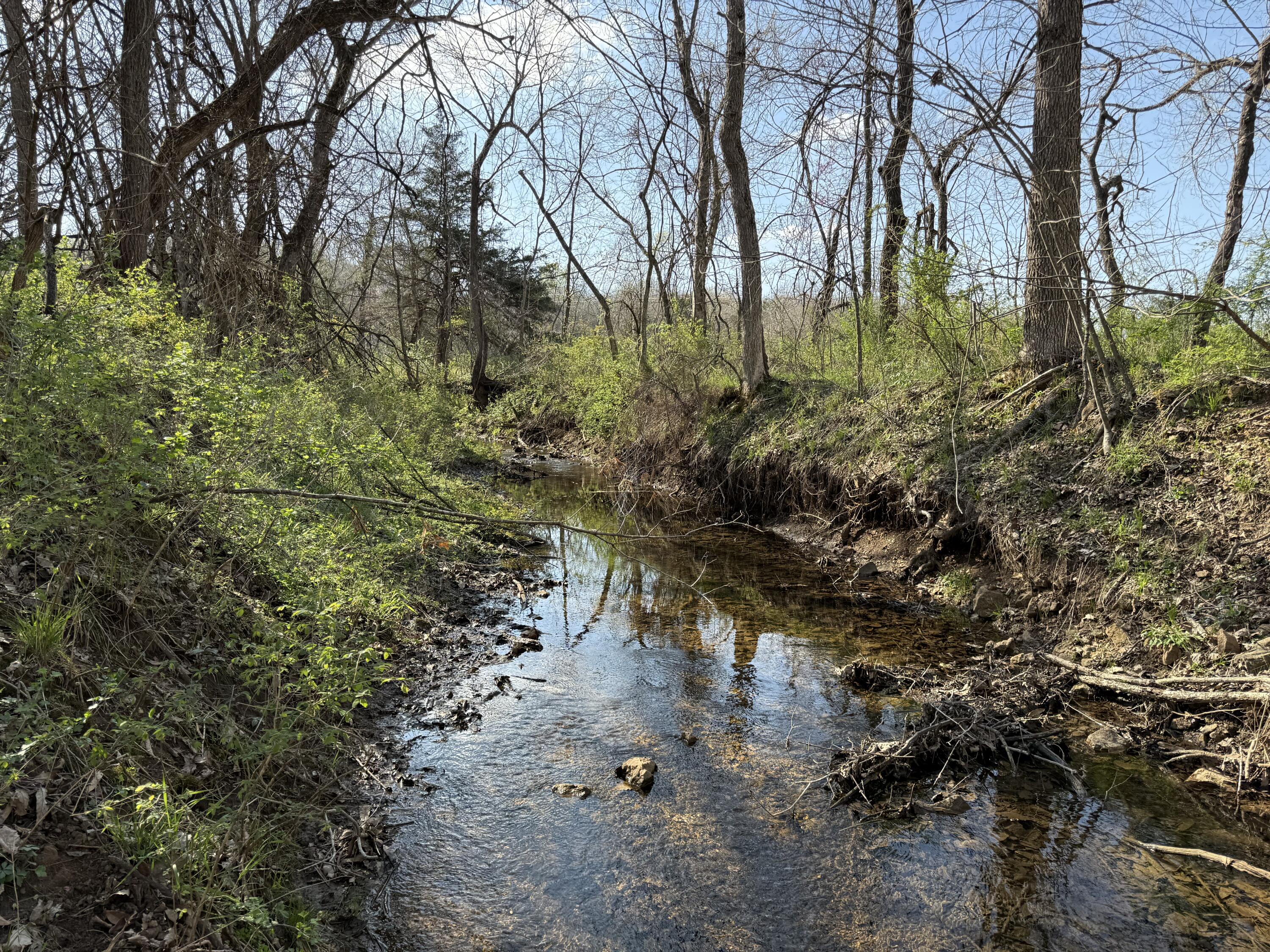 main property photo 51