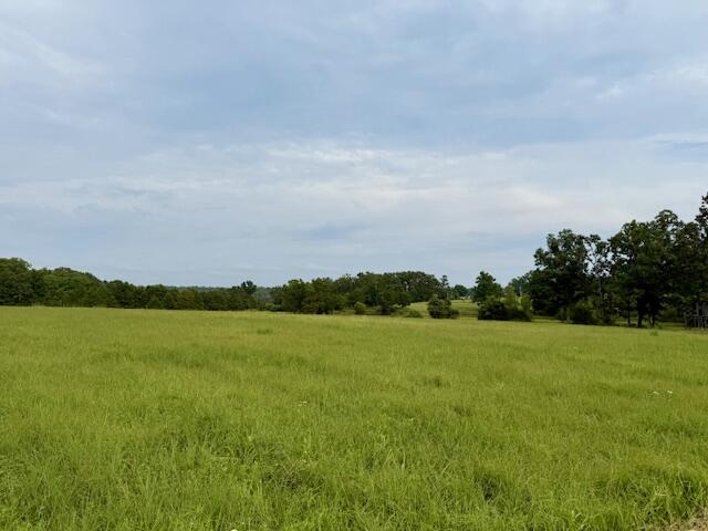 main property photo 66