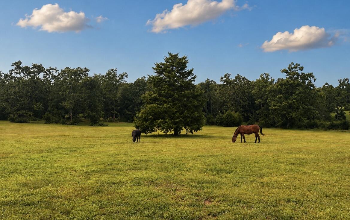main property photo 71