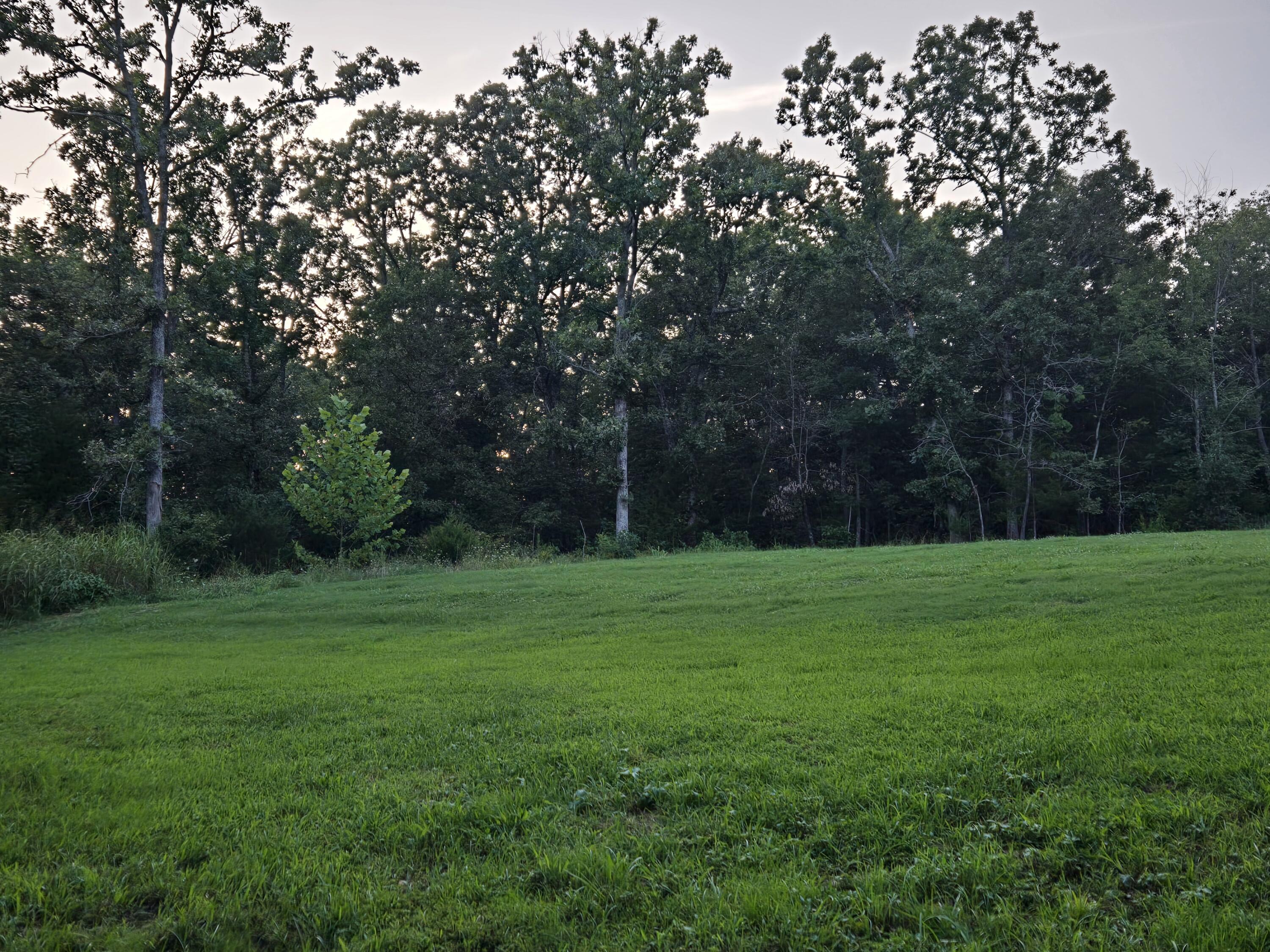 main property photo 86