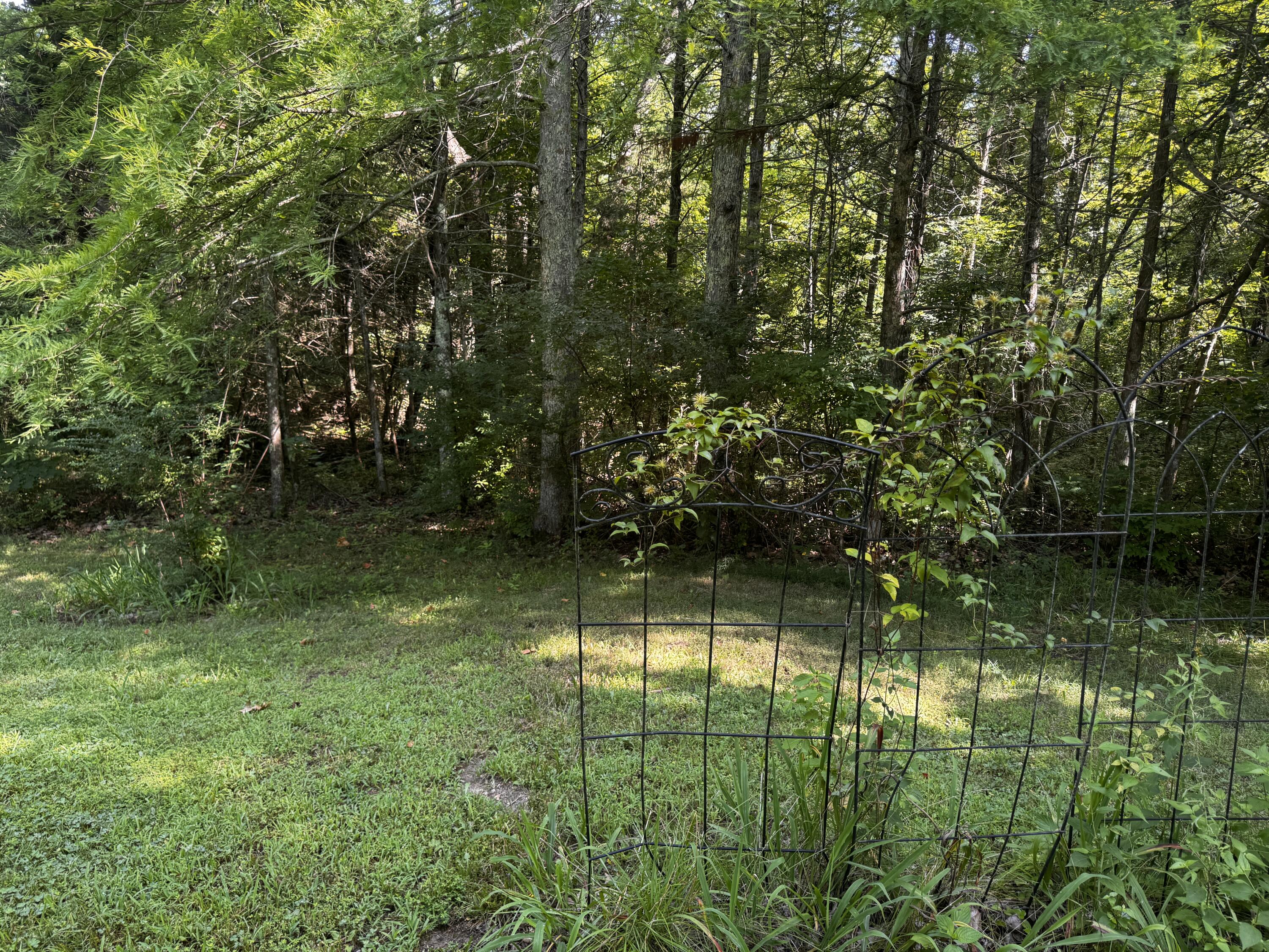 main property photo 54