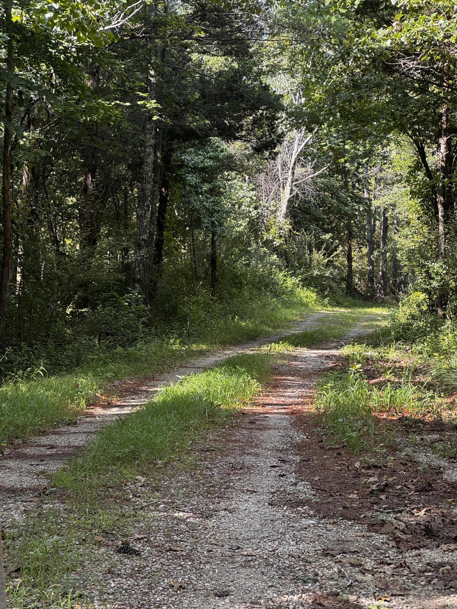 main property photo 56