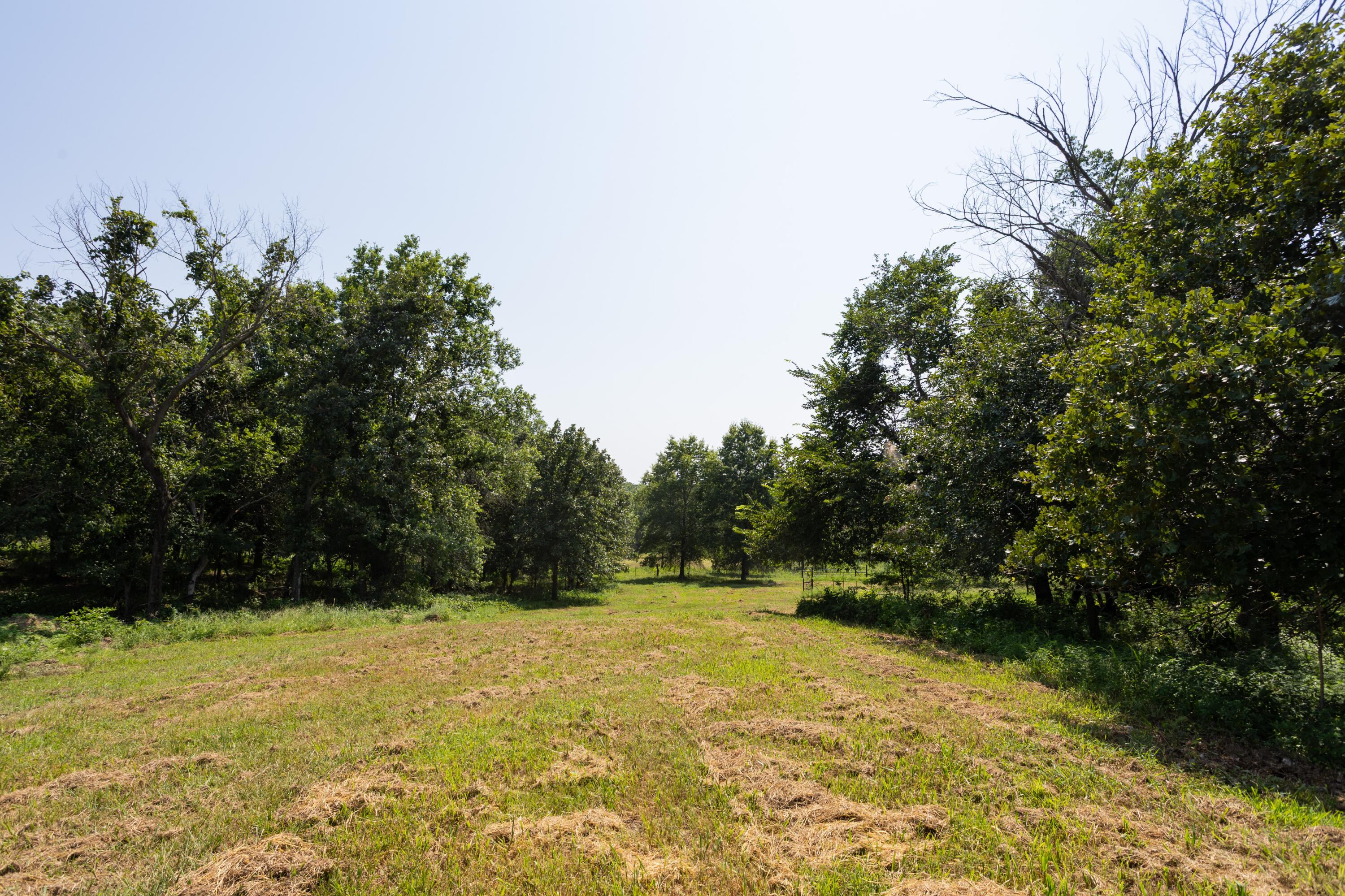 main property photo 114