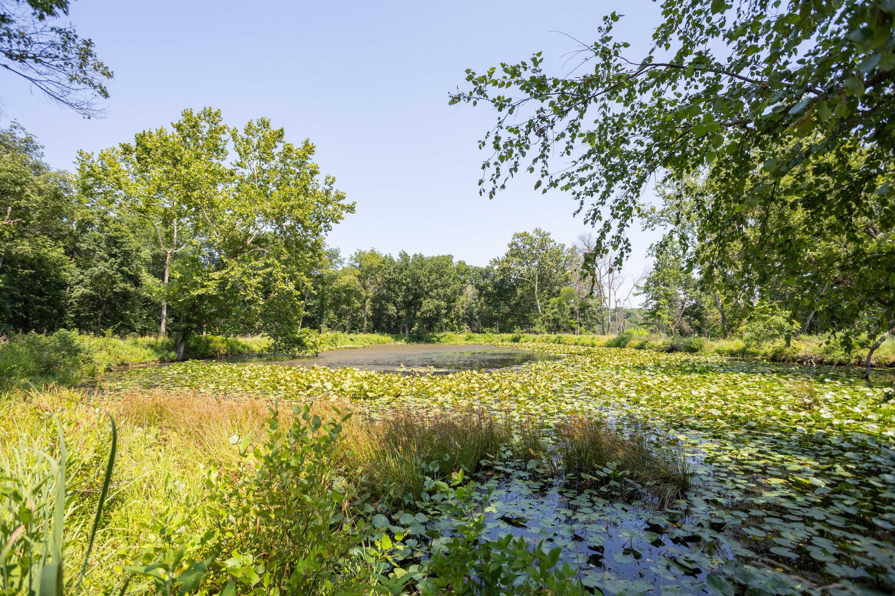 main property photo 116