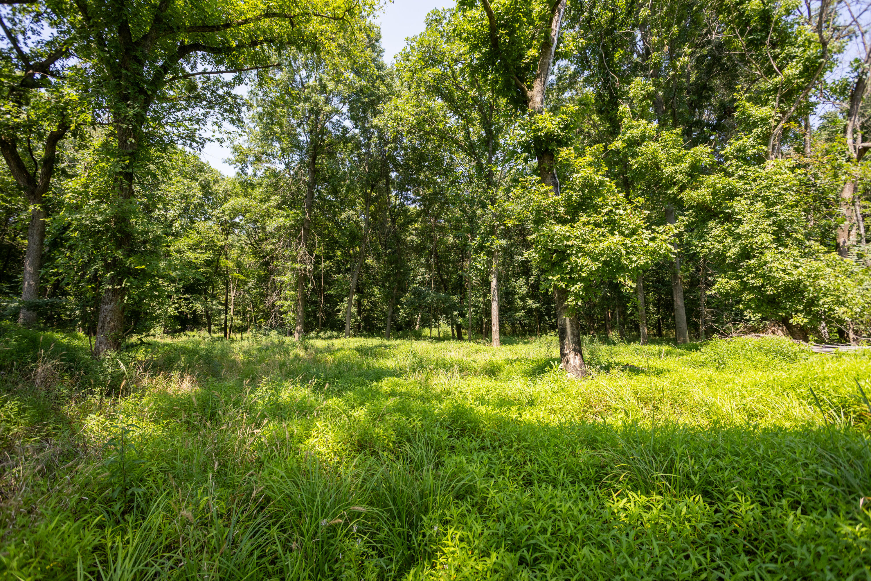 main property photo 120