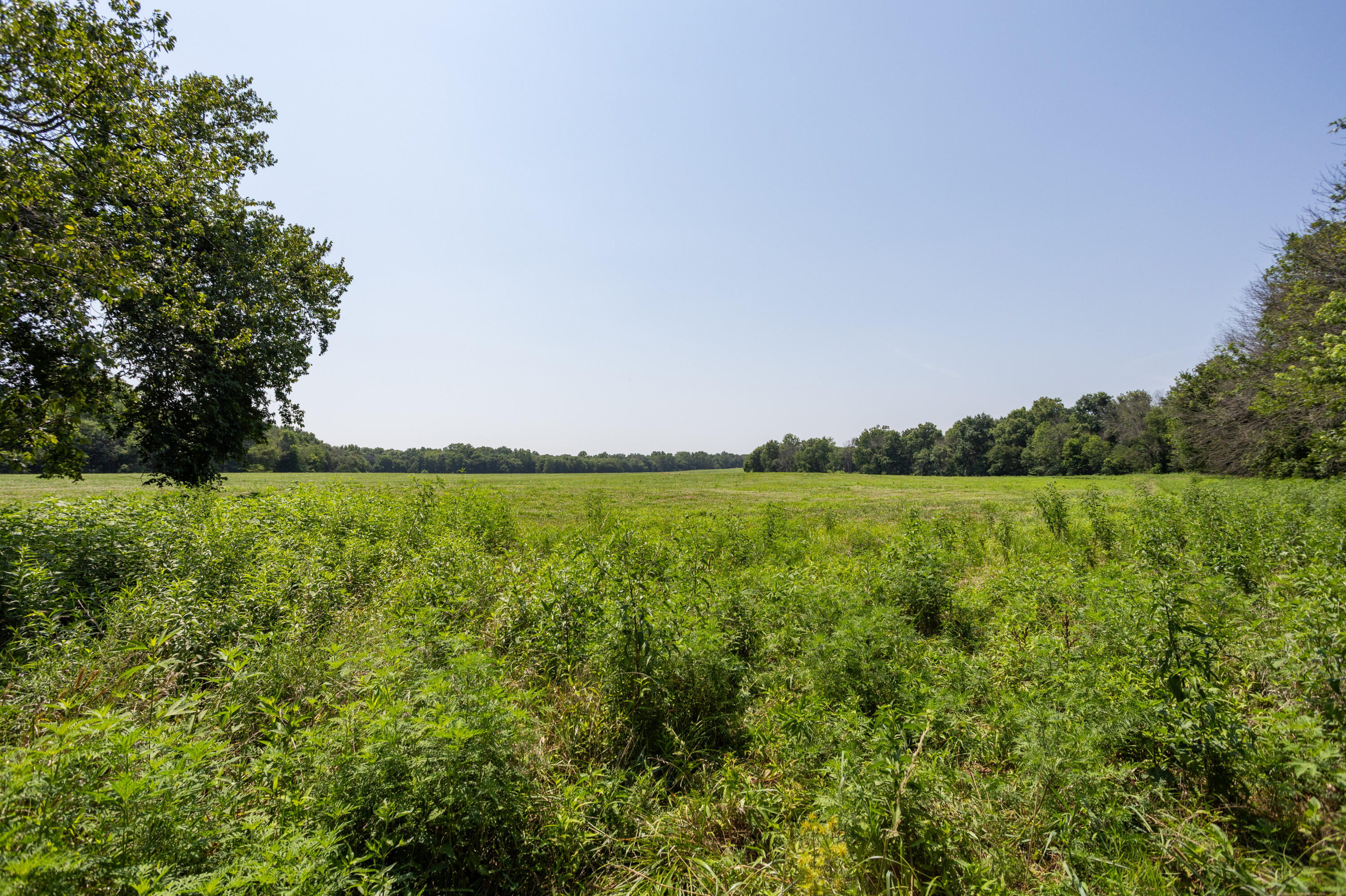 main property photo 122