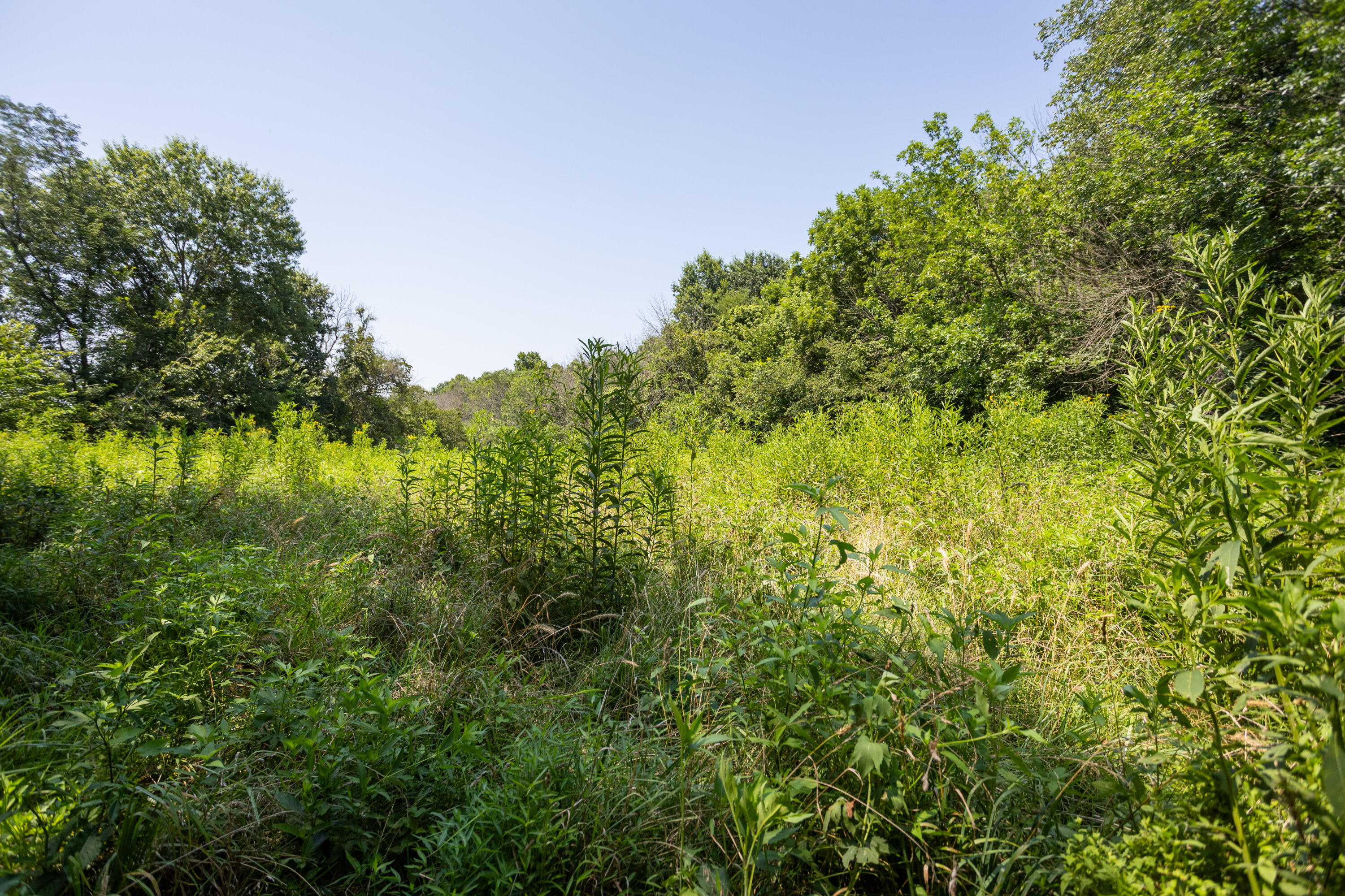 main property photo 123
