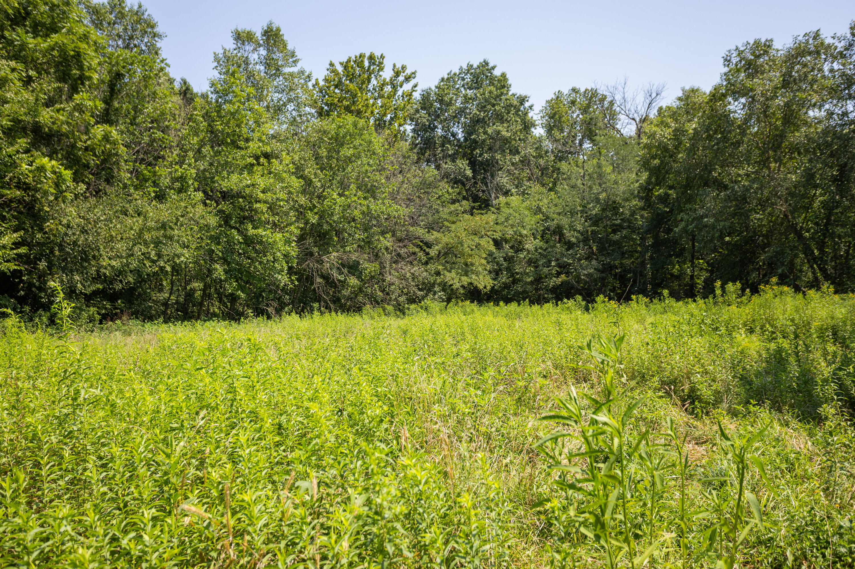 main property photo 124
