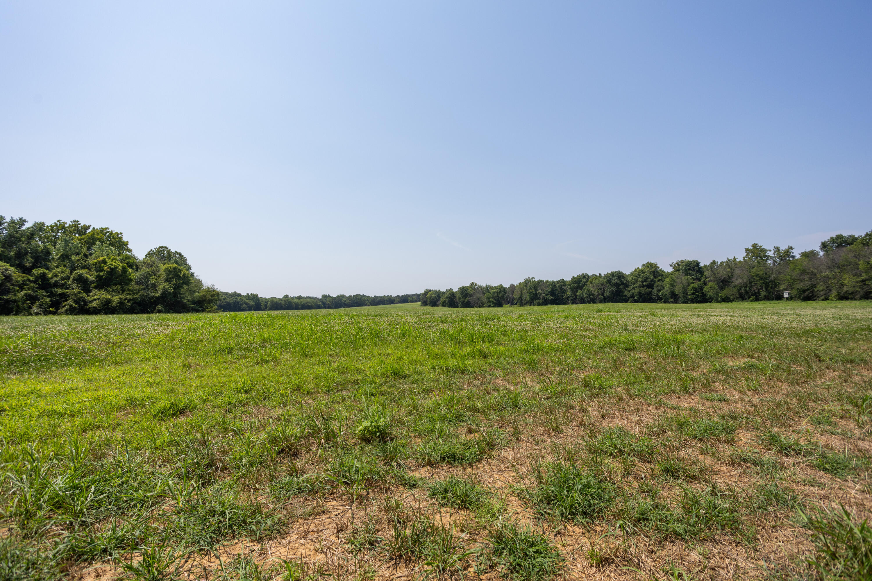 main property photo 125