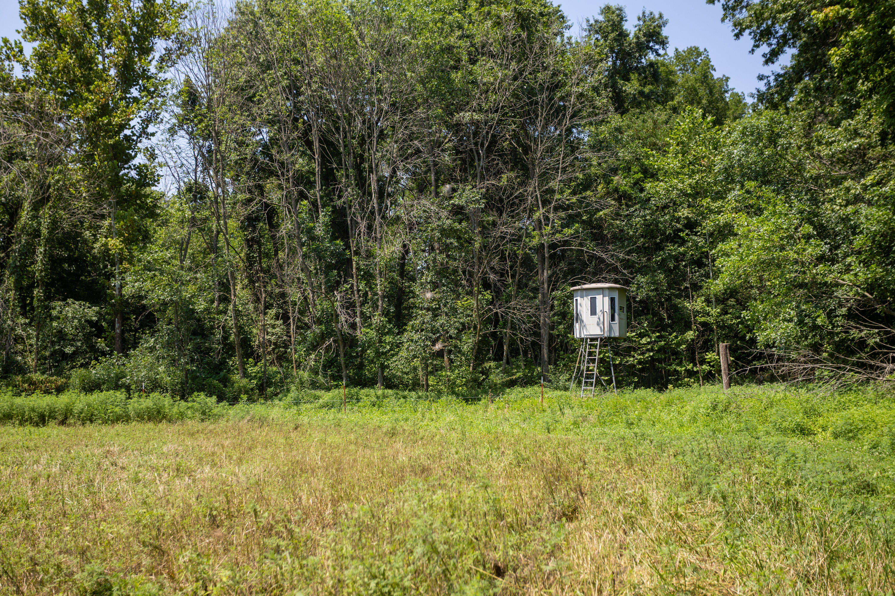 main property photo 126