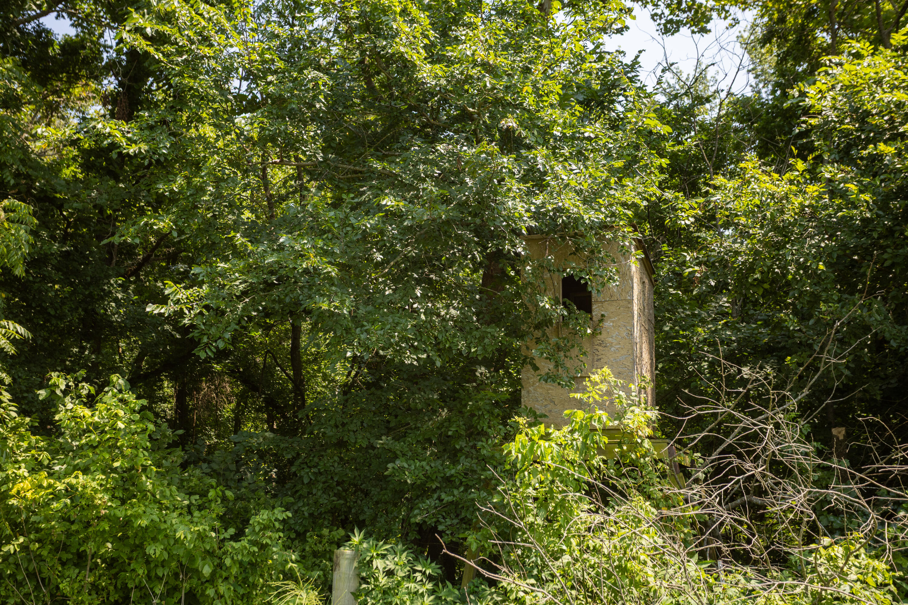 main property photo 128