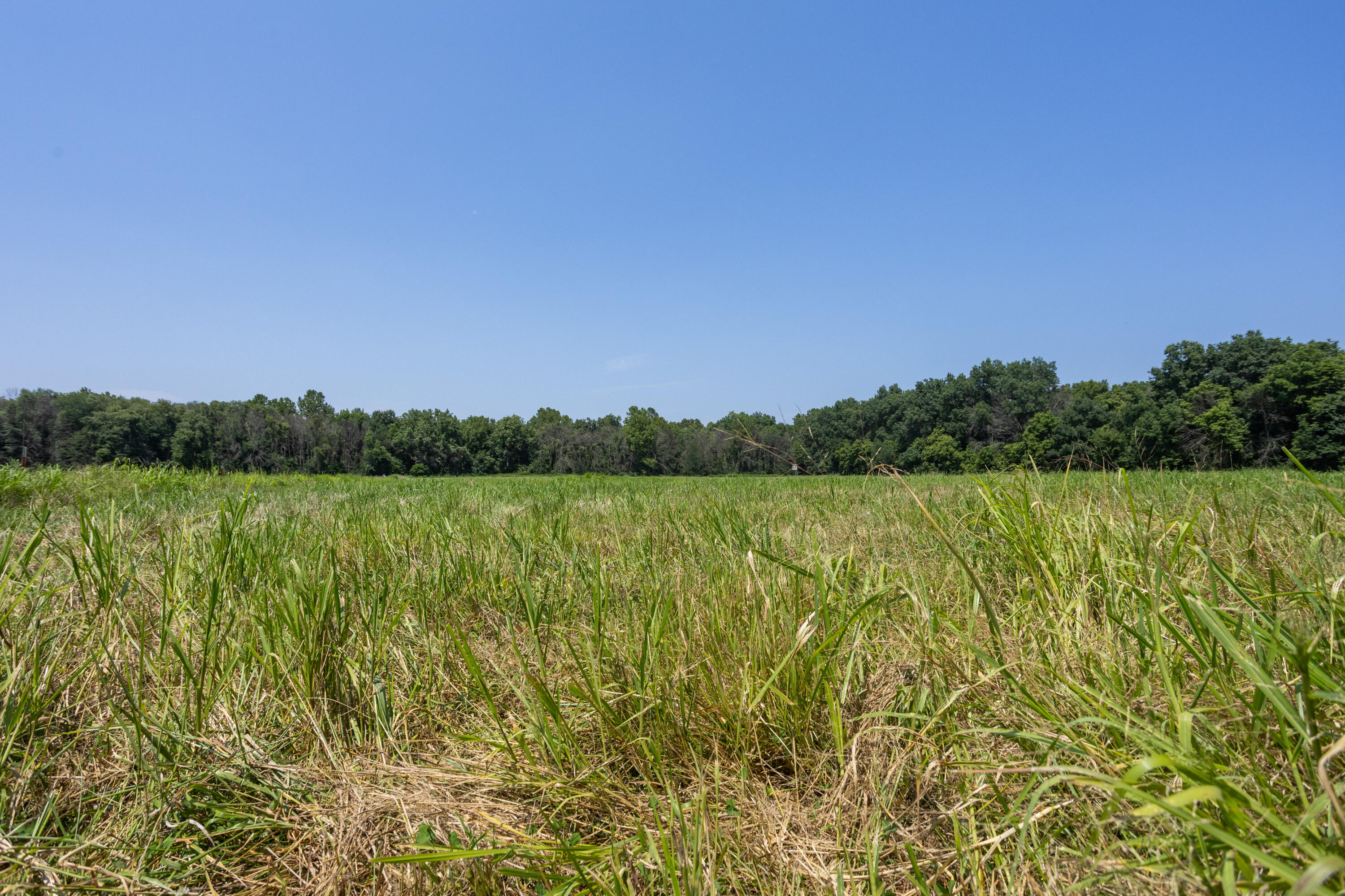 main property photo 129