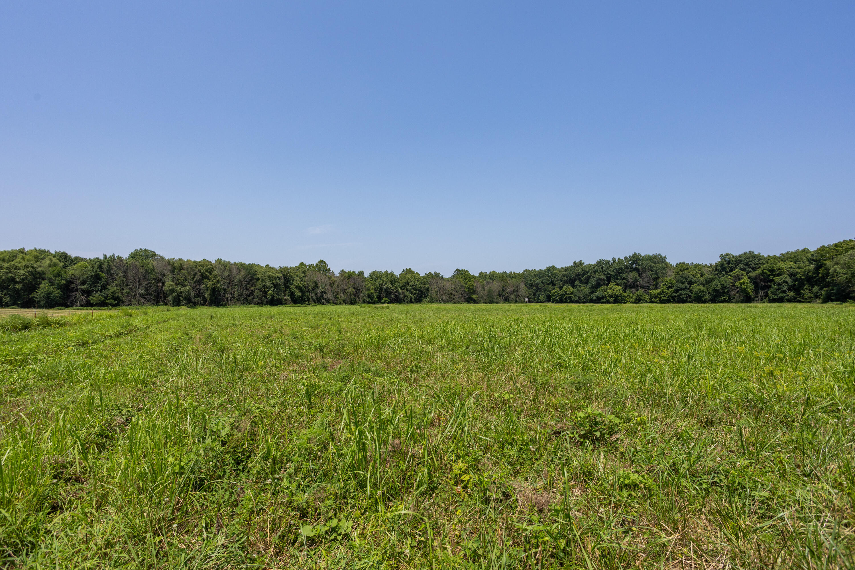 main property photo 130