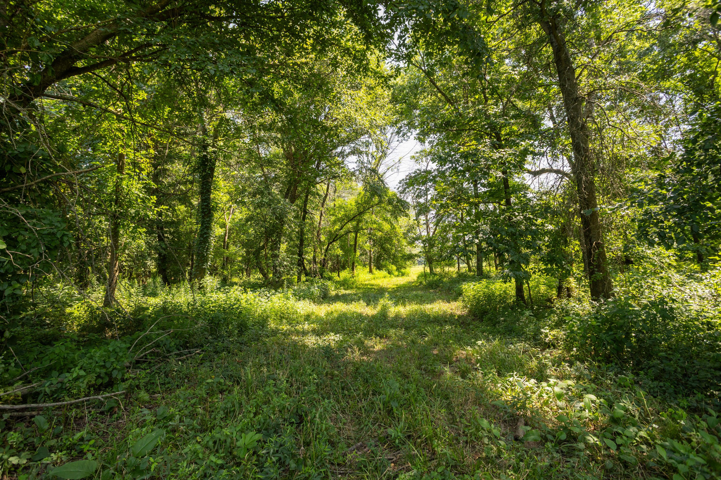 main property photo 132