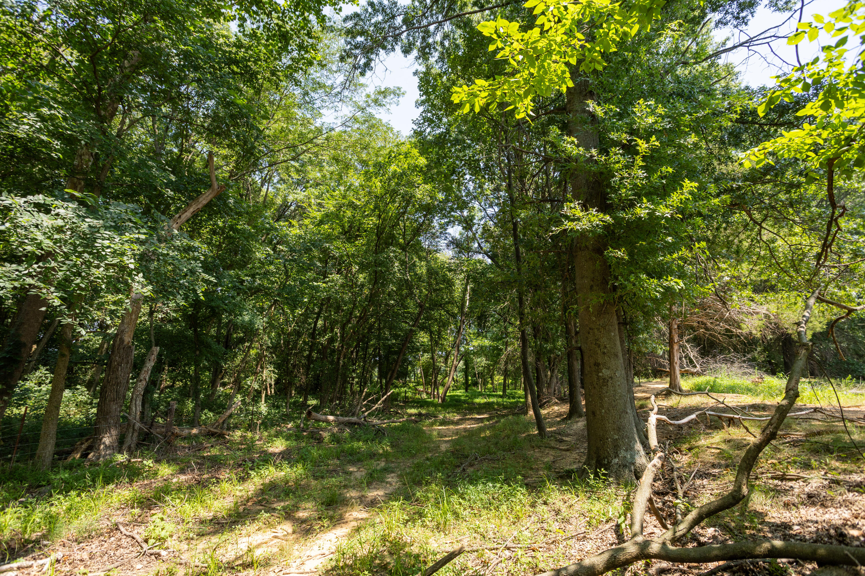 main property photo 136