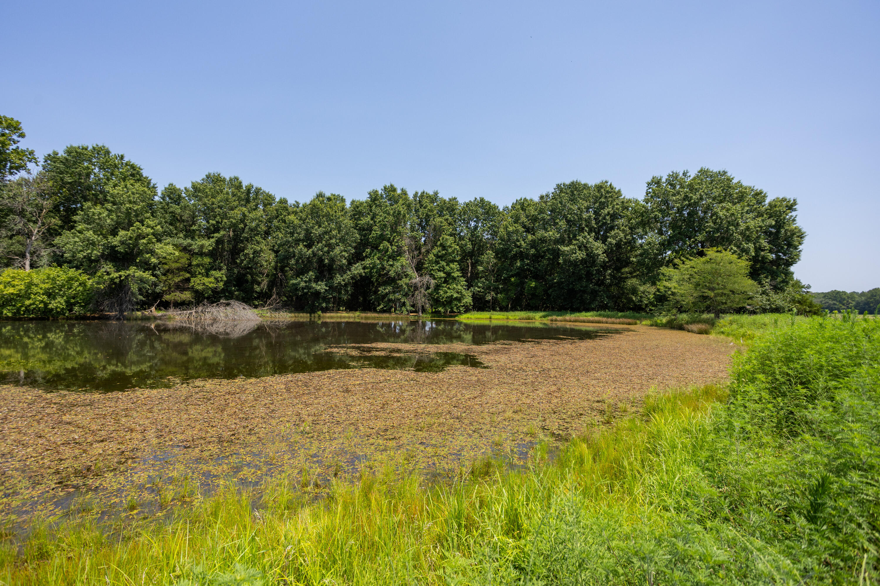 main property photo 137