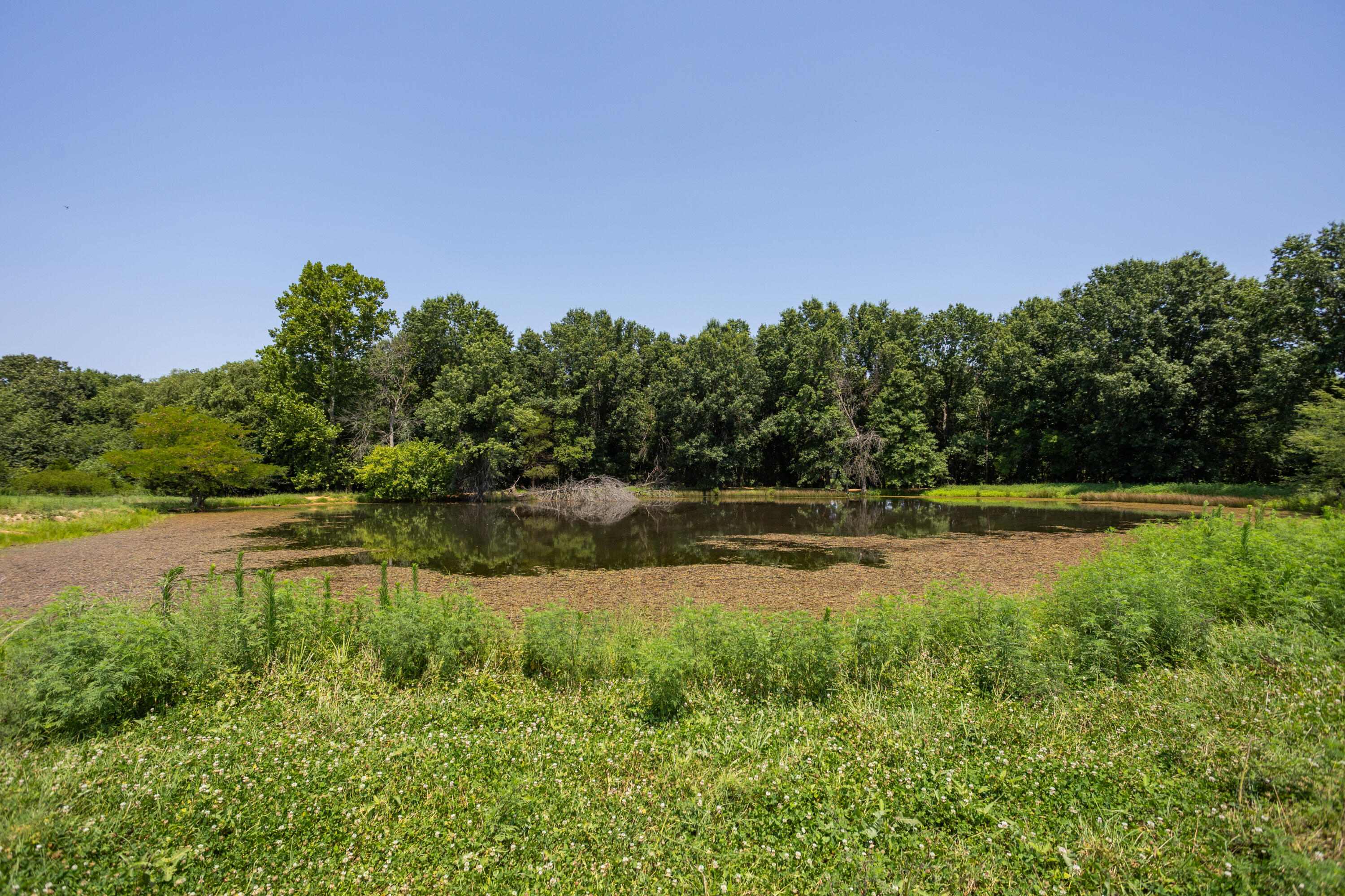 main property photo 138