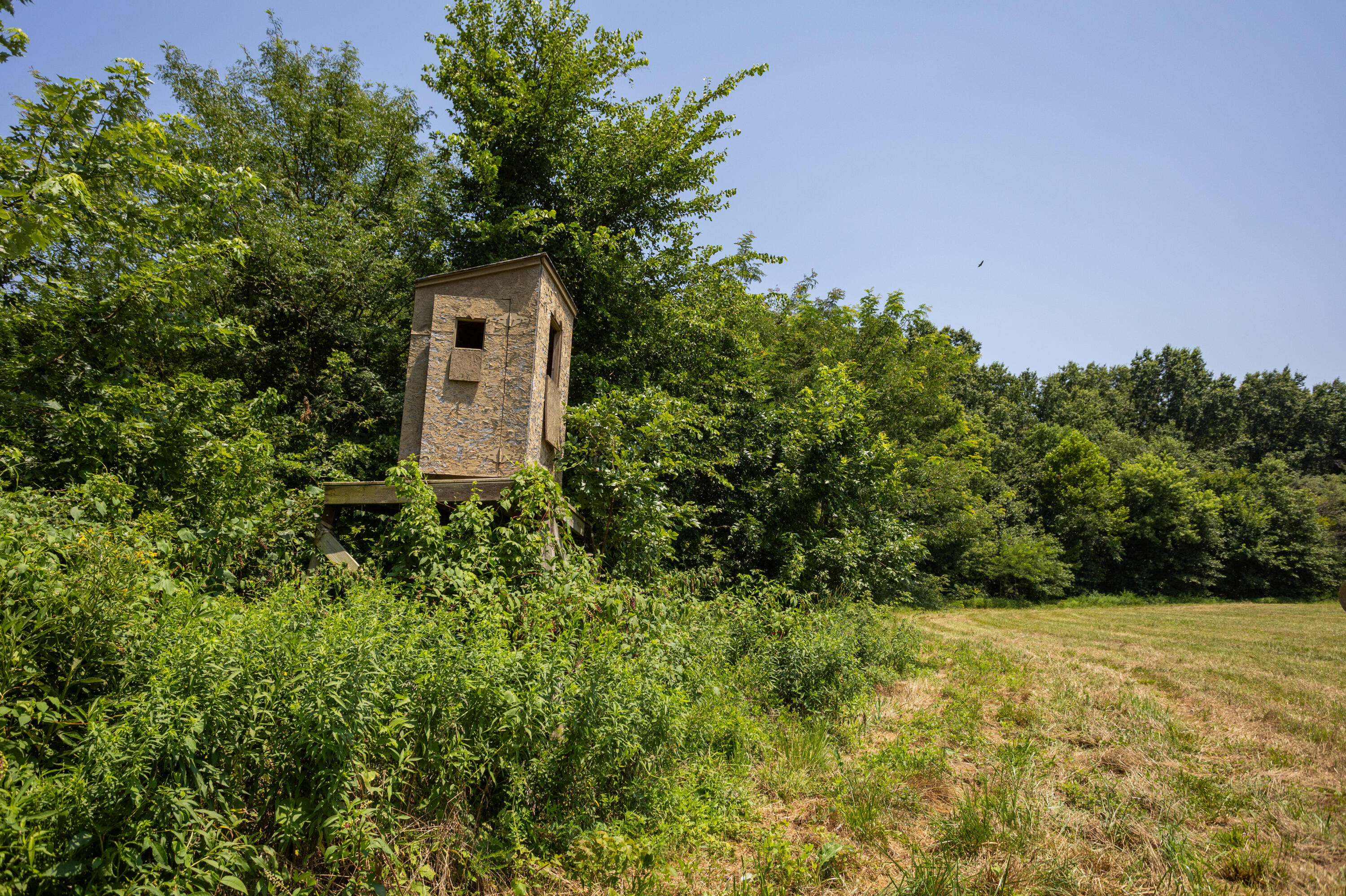 main property photo 139