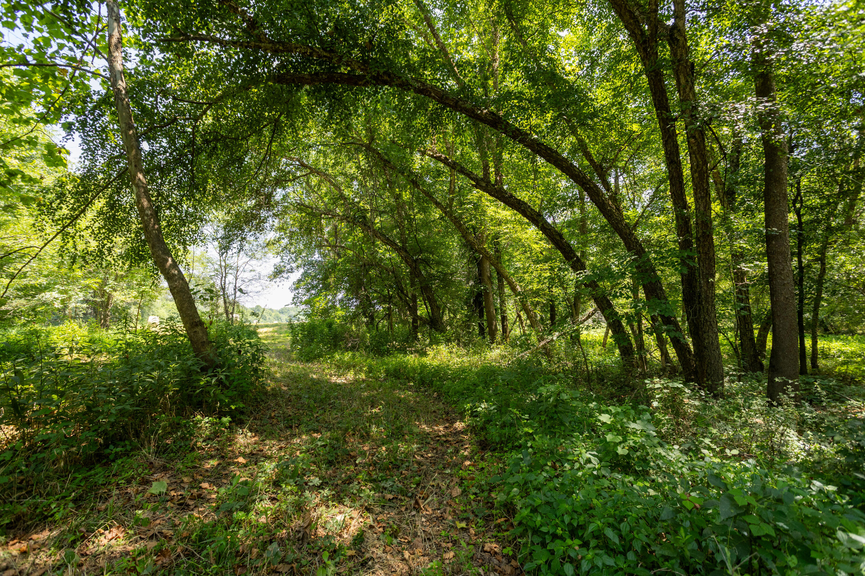 main property photo 141