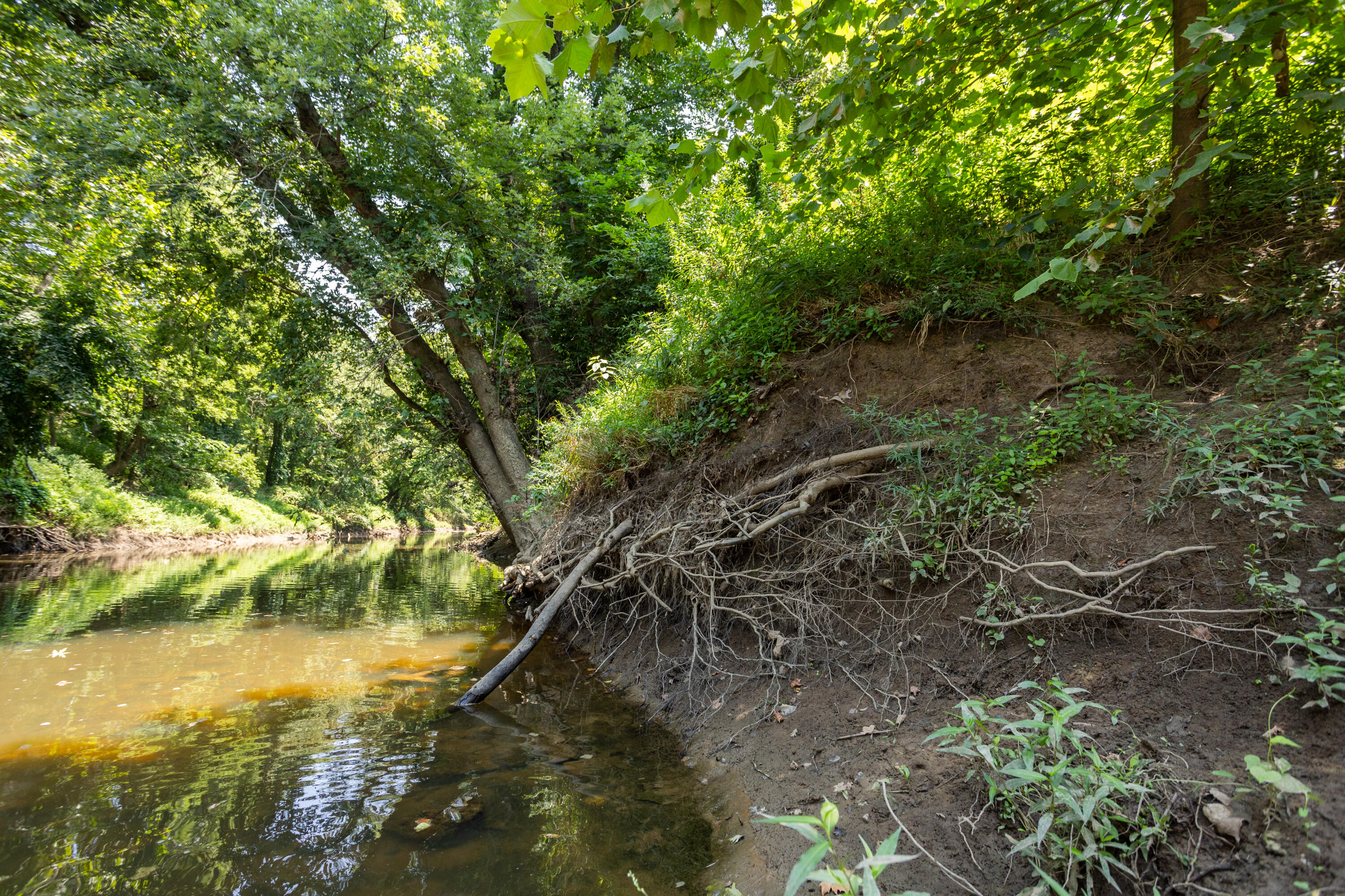 main property photo 145