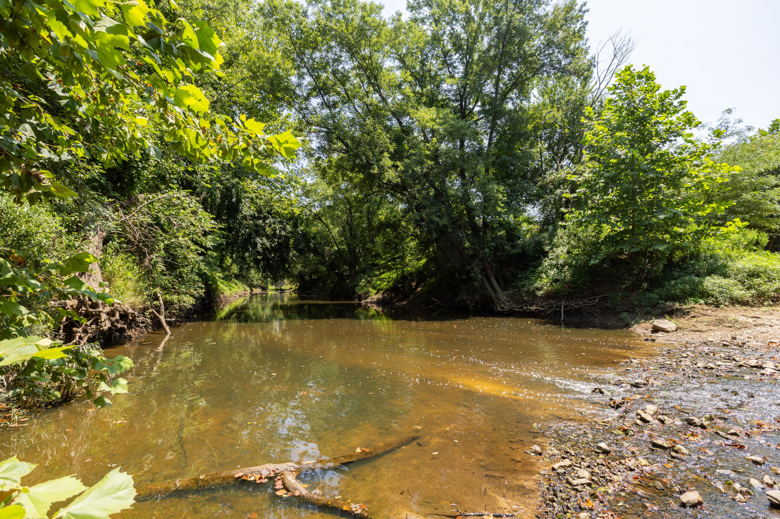 main property photo 148