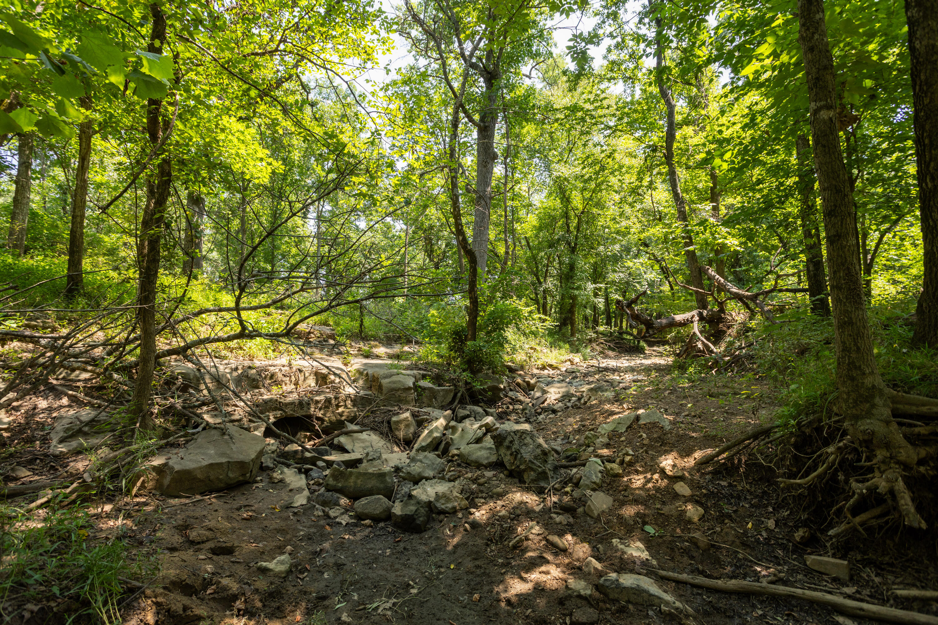 main property photo 149
