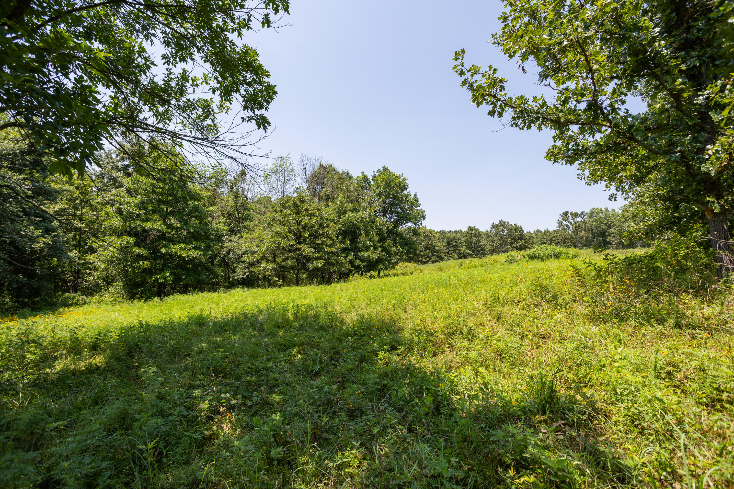 main property photo 150
