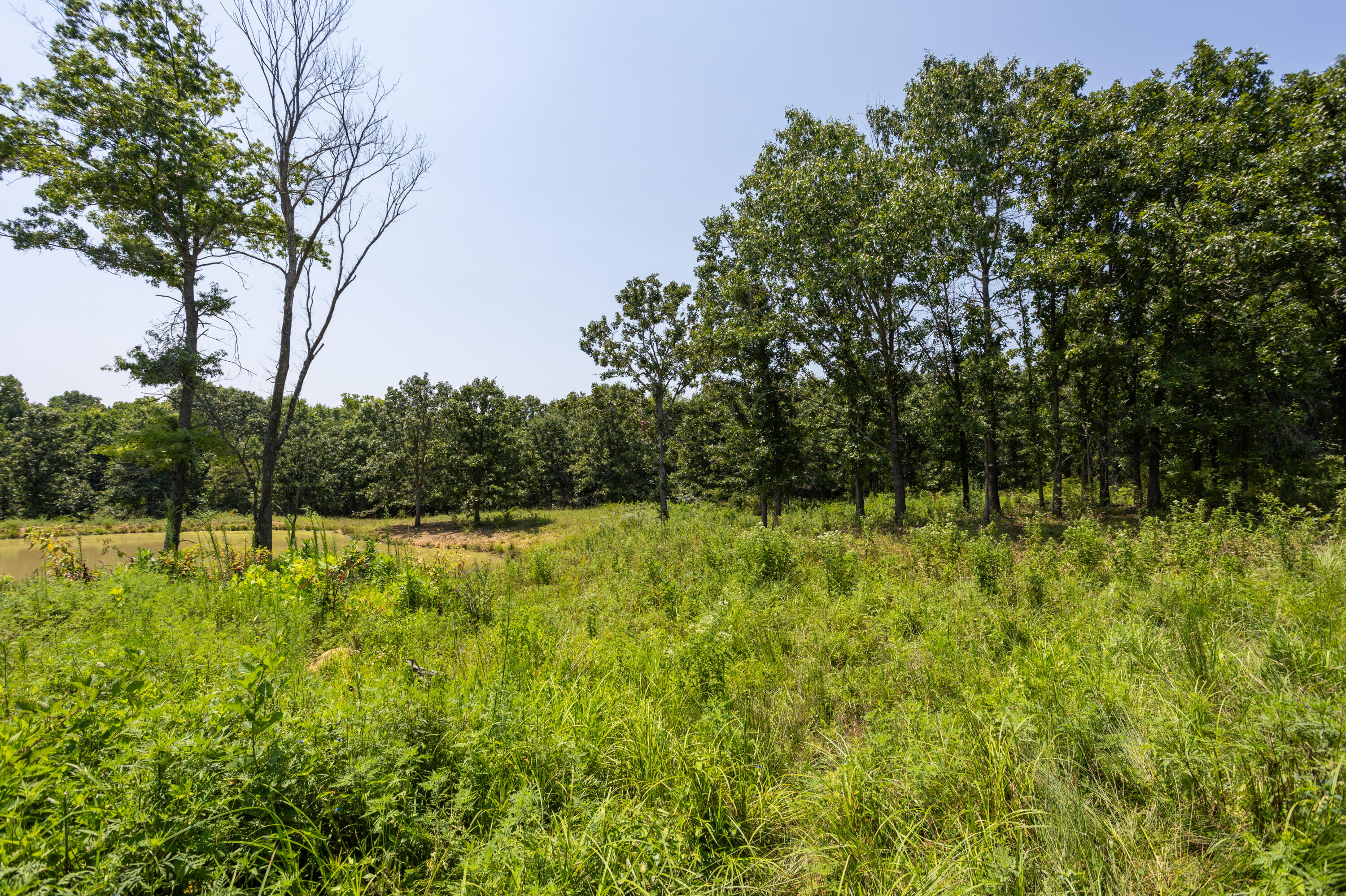 main property photo 151