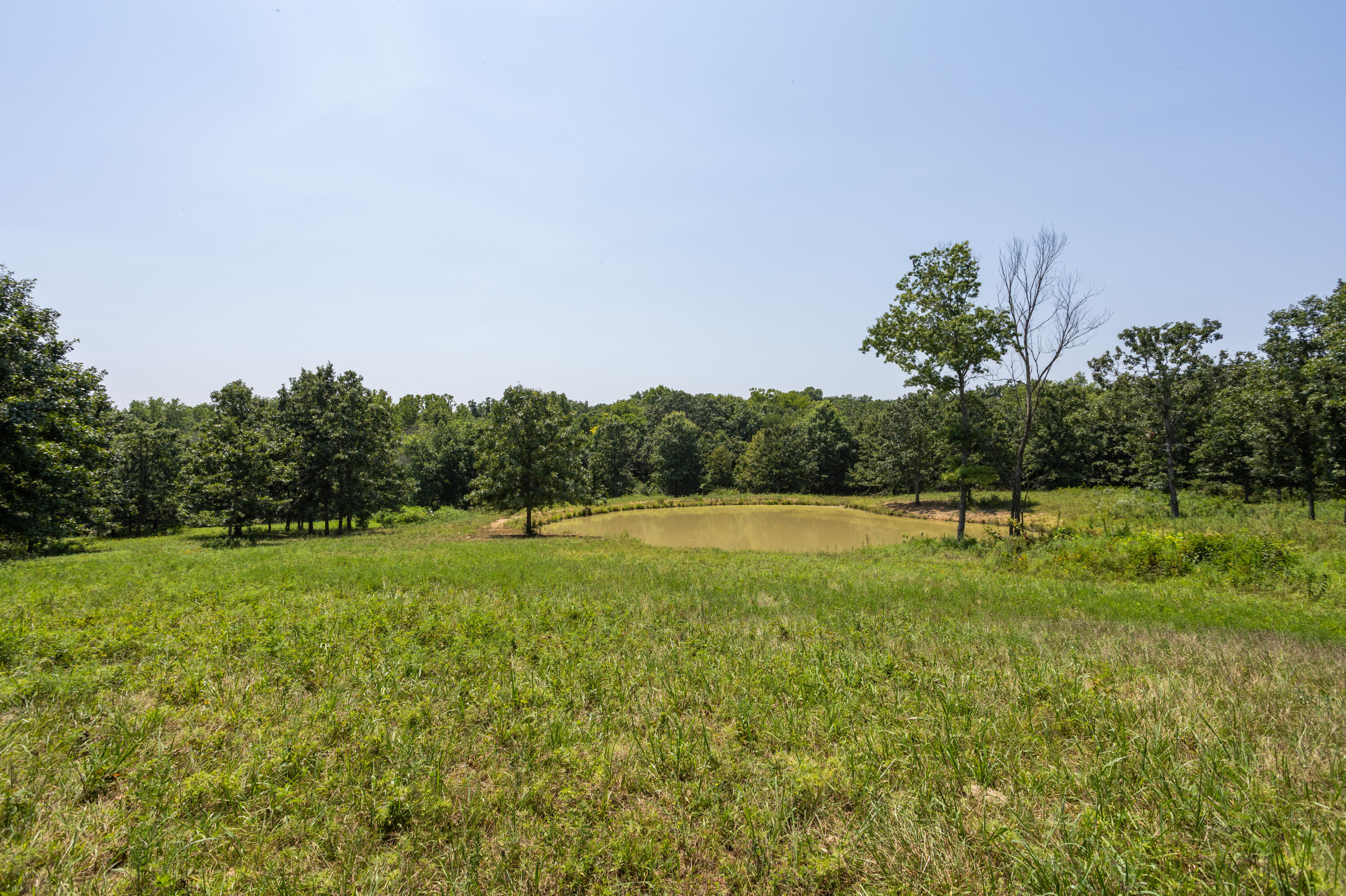 main property photo 152