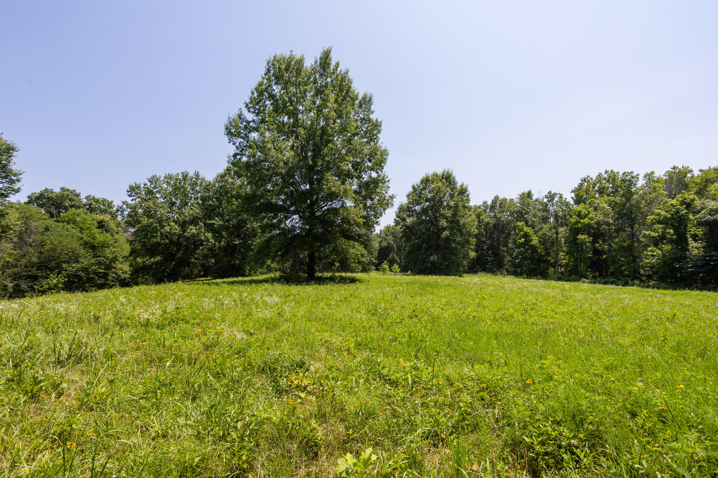 main property photo 153