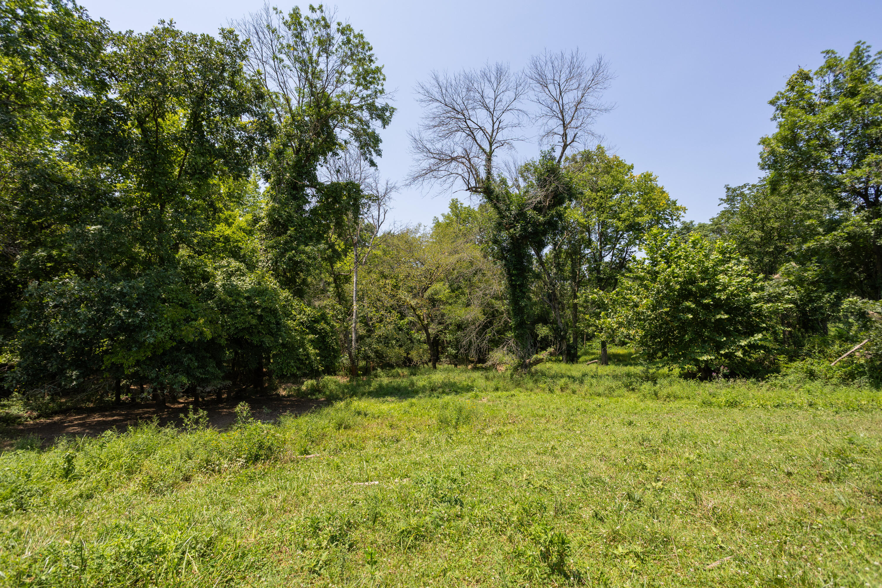 main property photo 154