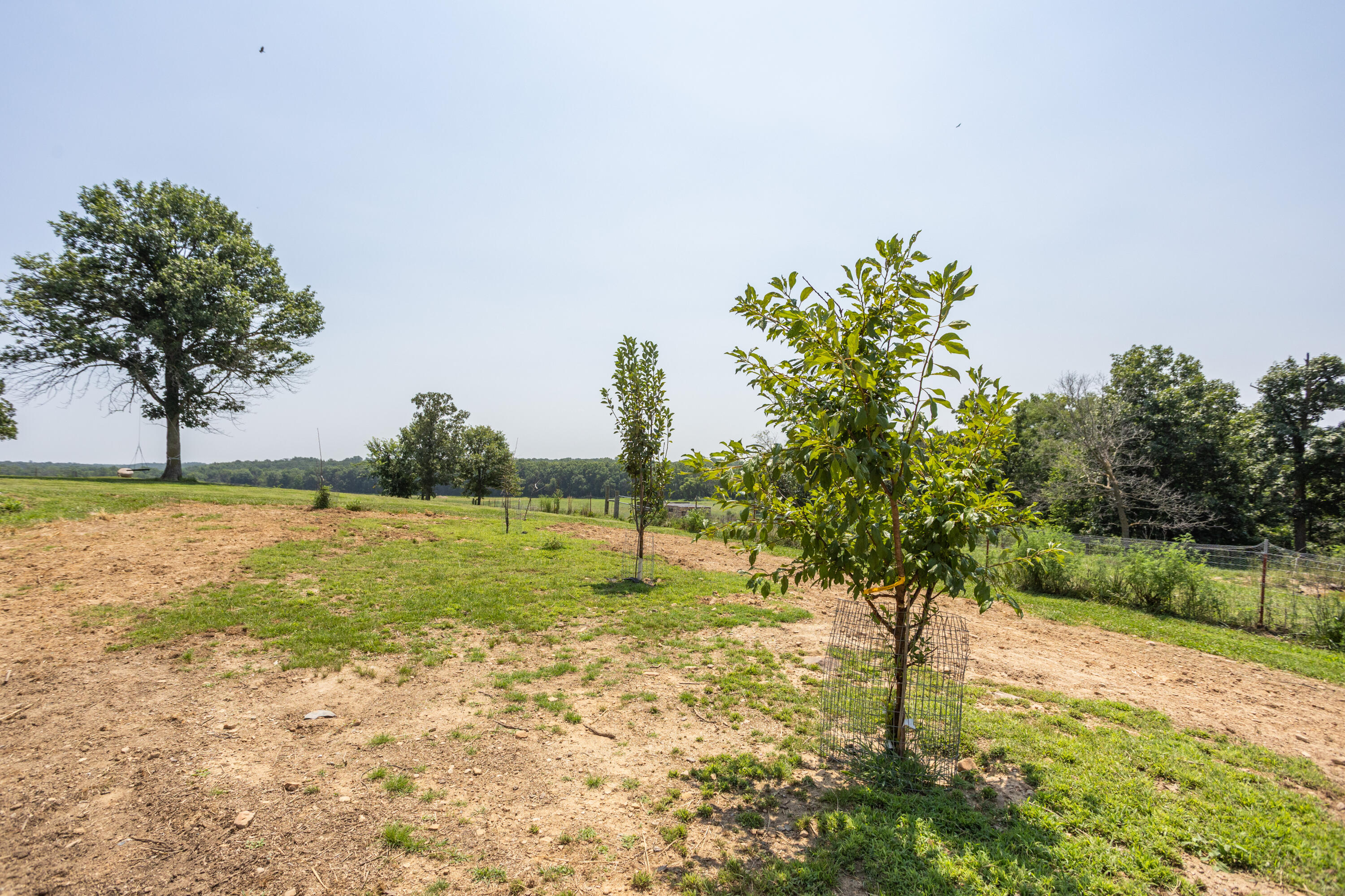 main property photo 157