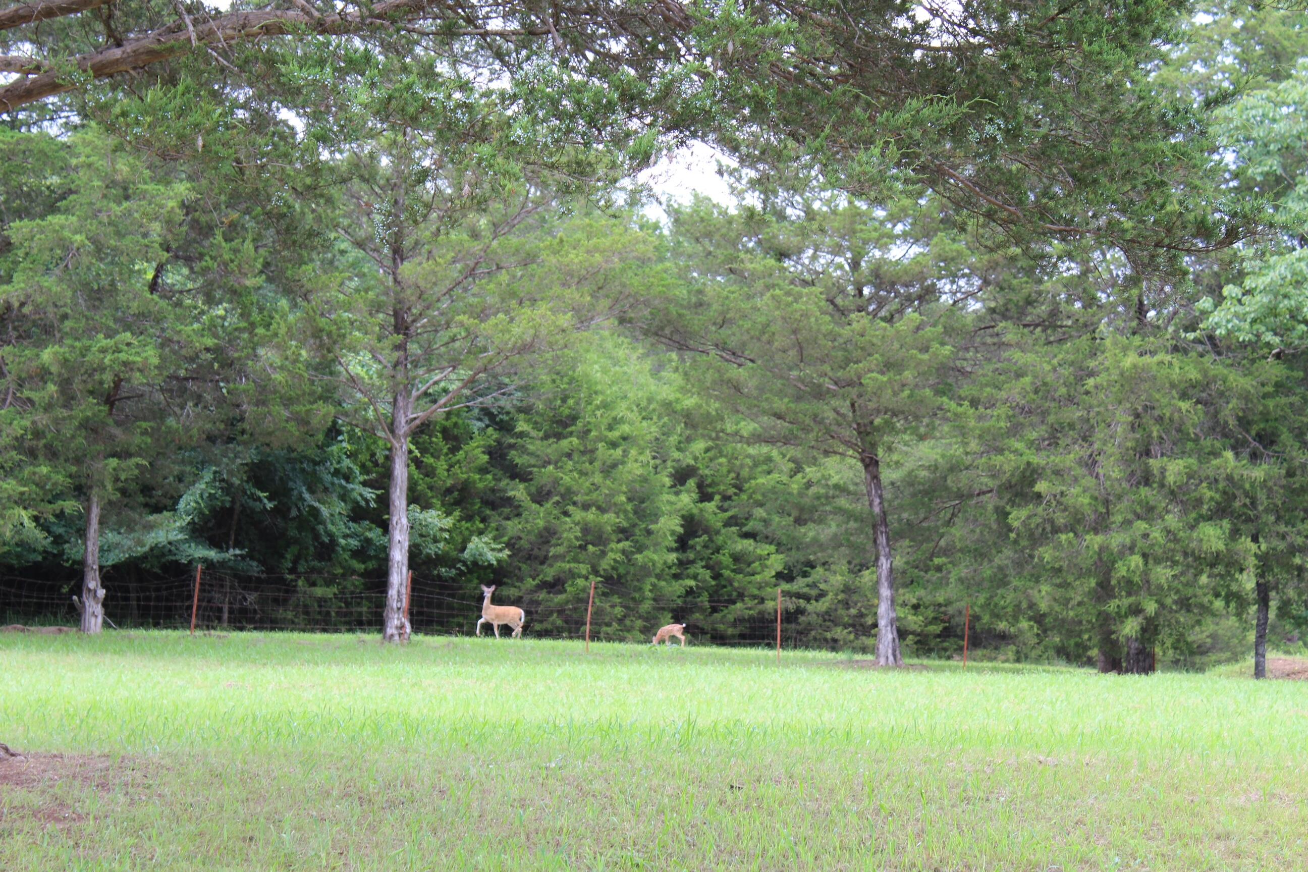main property photo 41