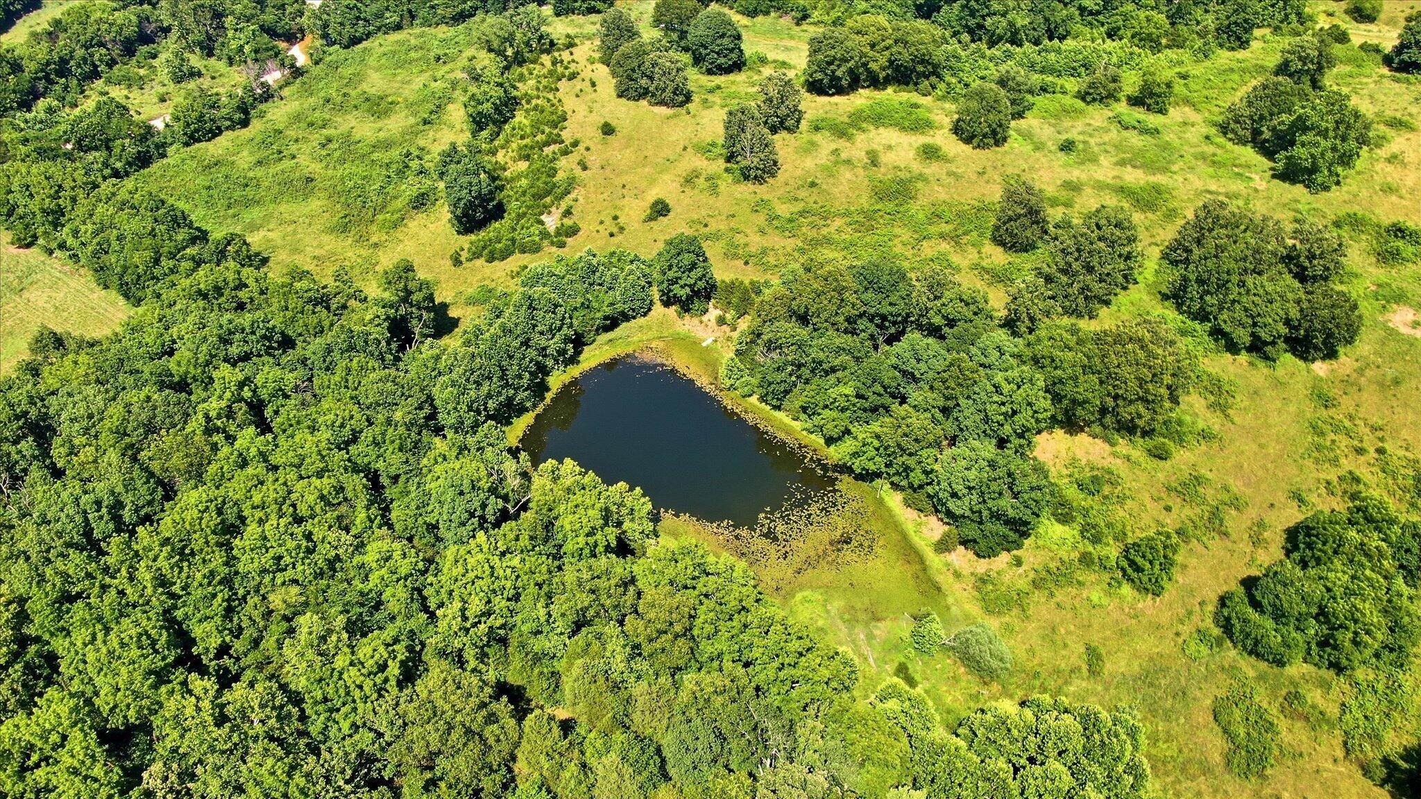 main property photo 15
