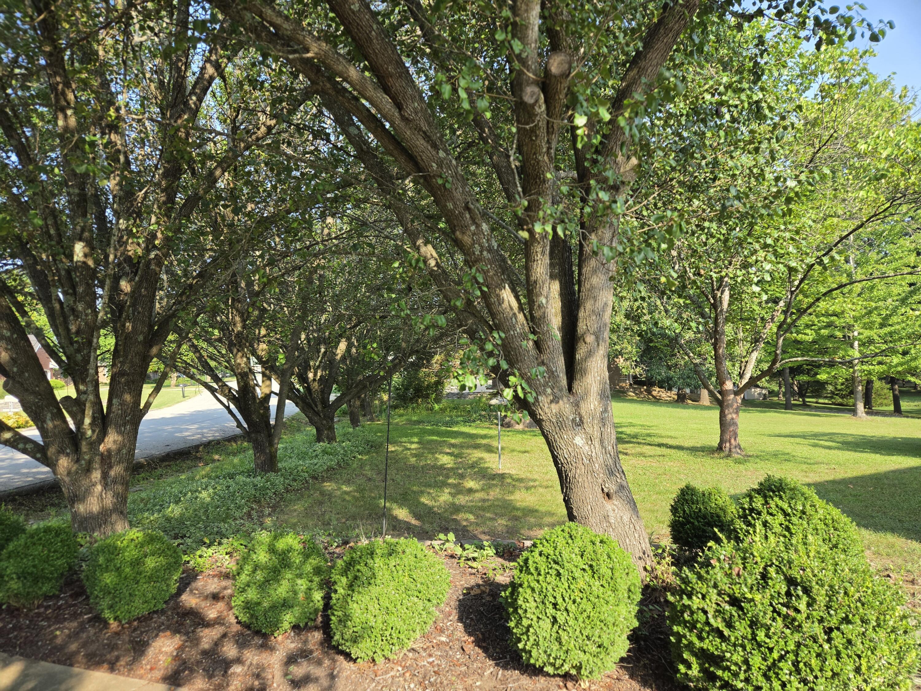 main property photo 35