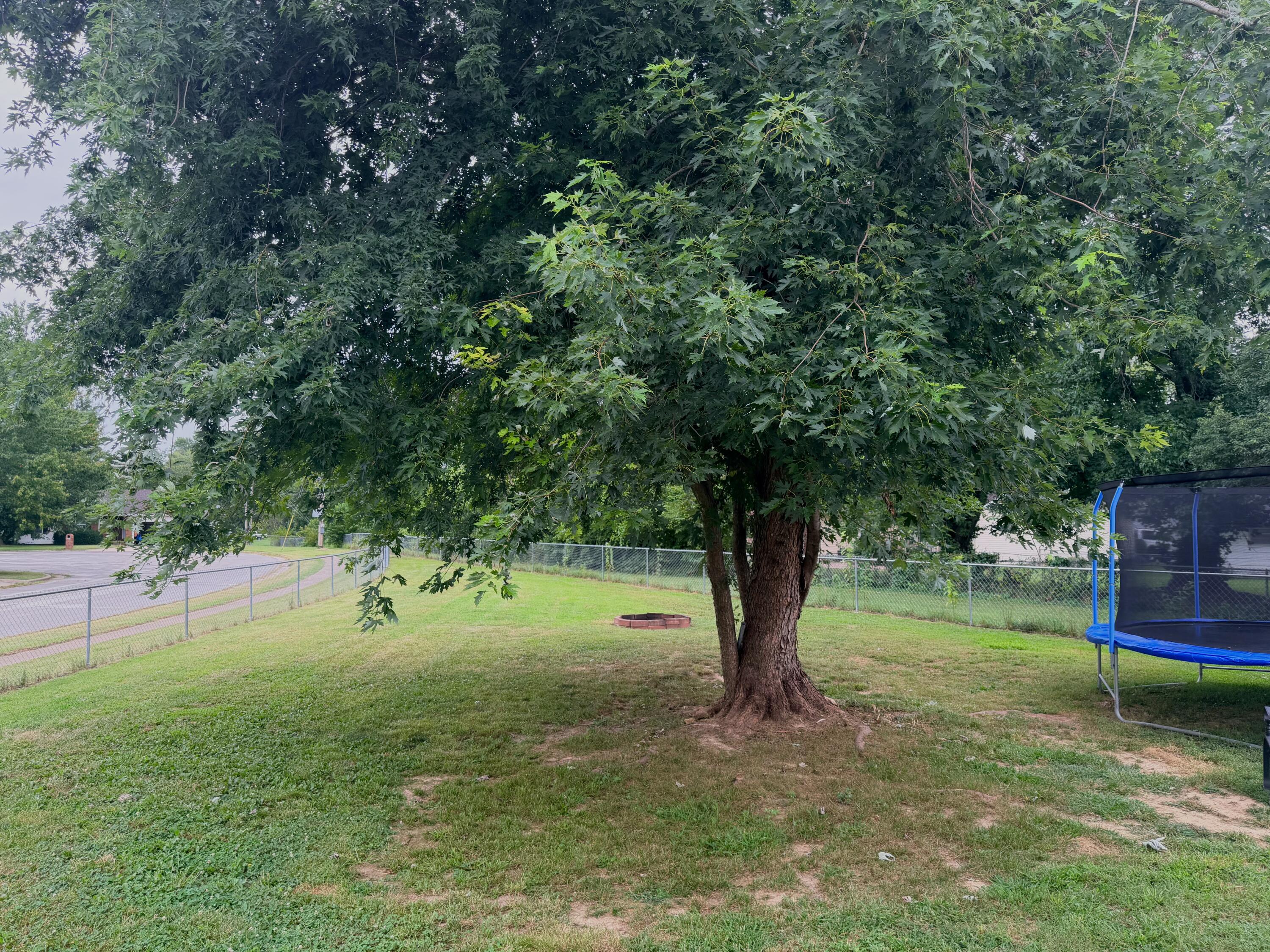 main property photo 27
