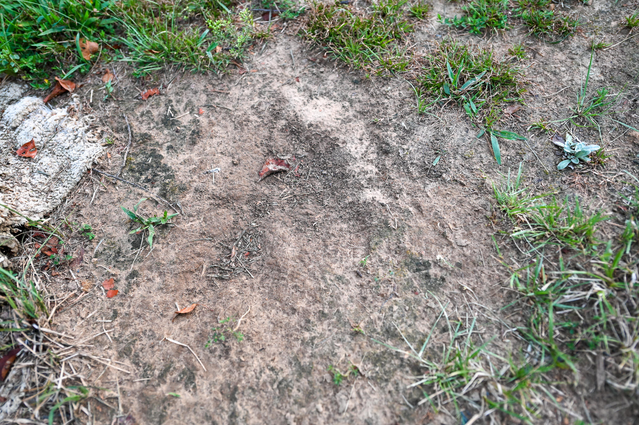 main property photo 54