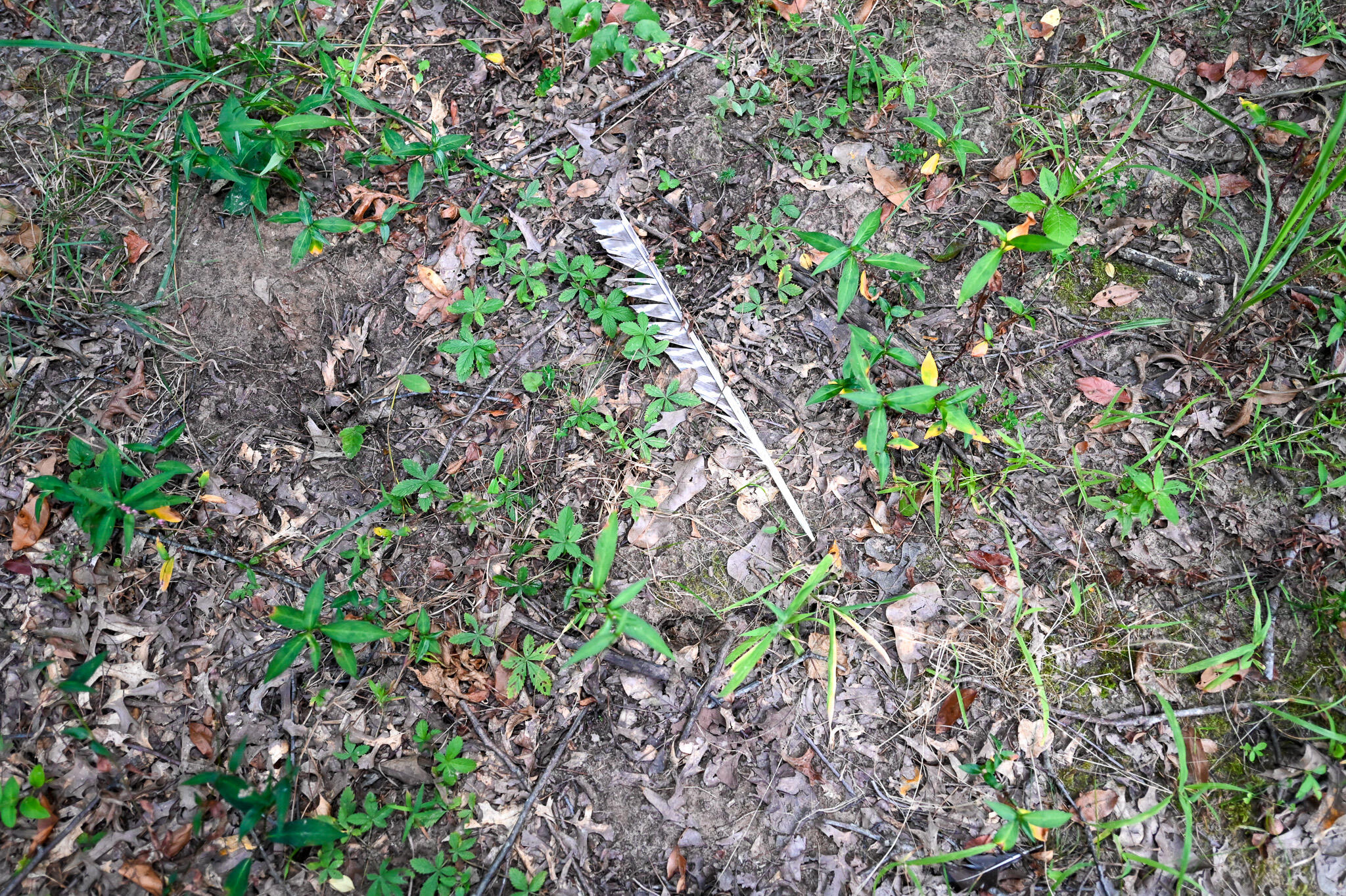 main property photo 61