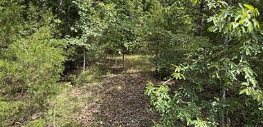 image of property with 0 Bed | 0 Bath | 0 Sqft
