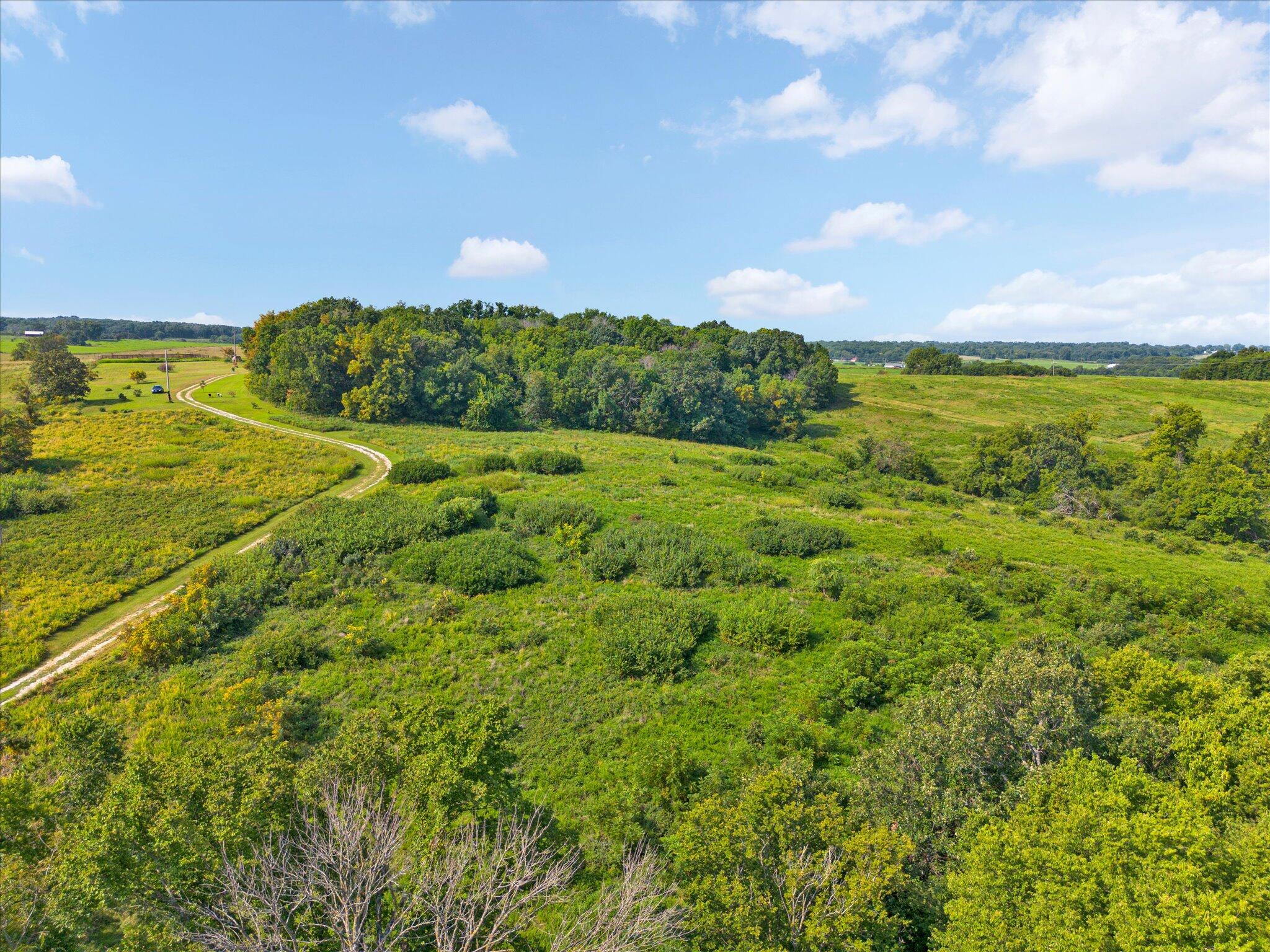 main property photo 42